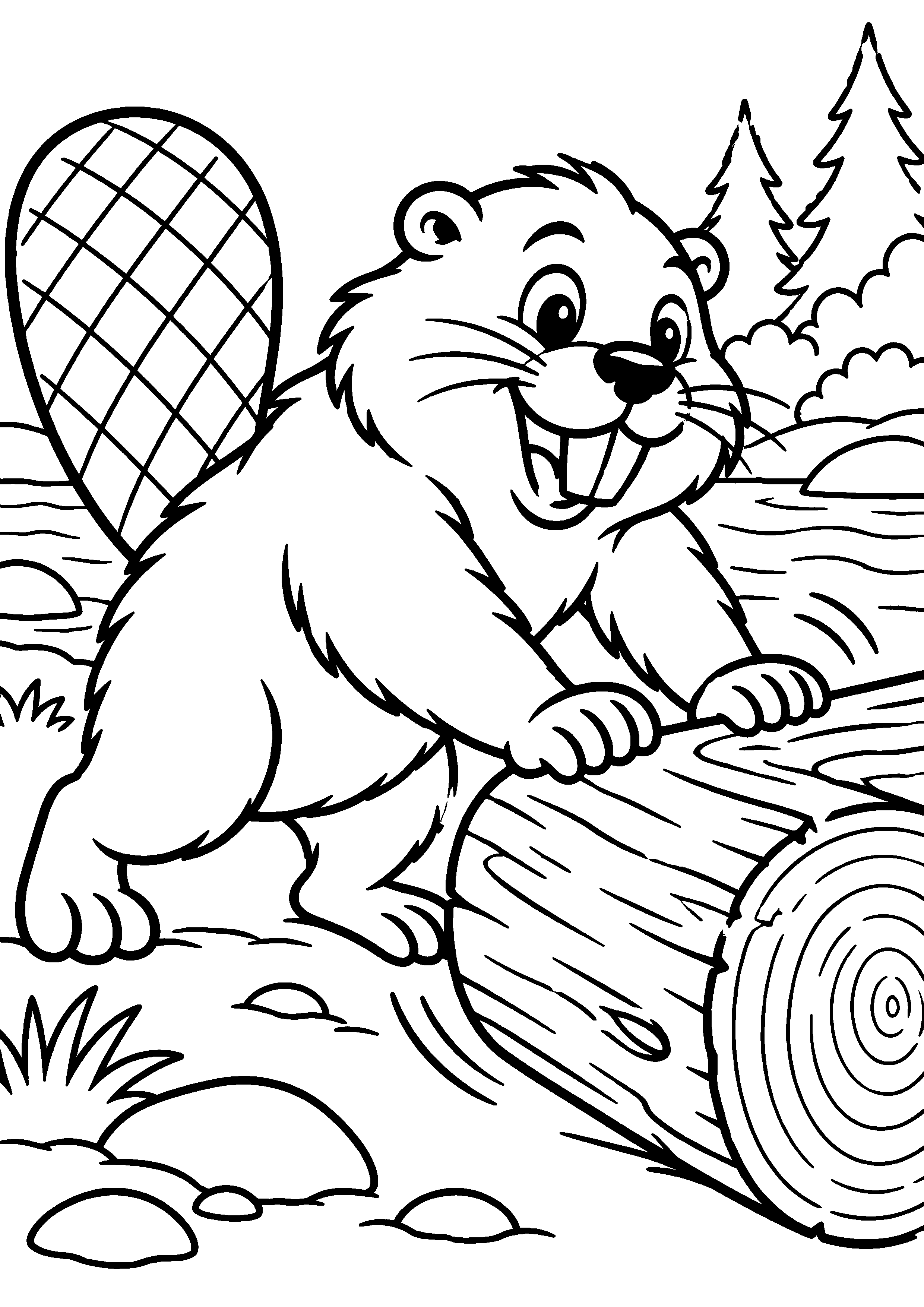 Grand coloriage d’un castor dans une posture curieuse très expressive, contours noirs nets sur fond blanc