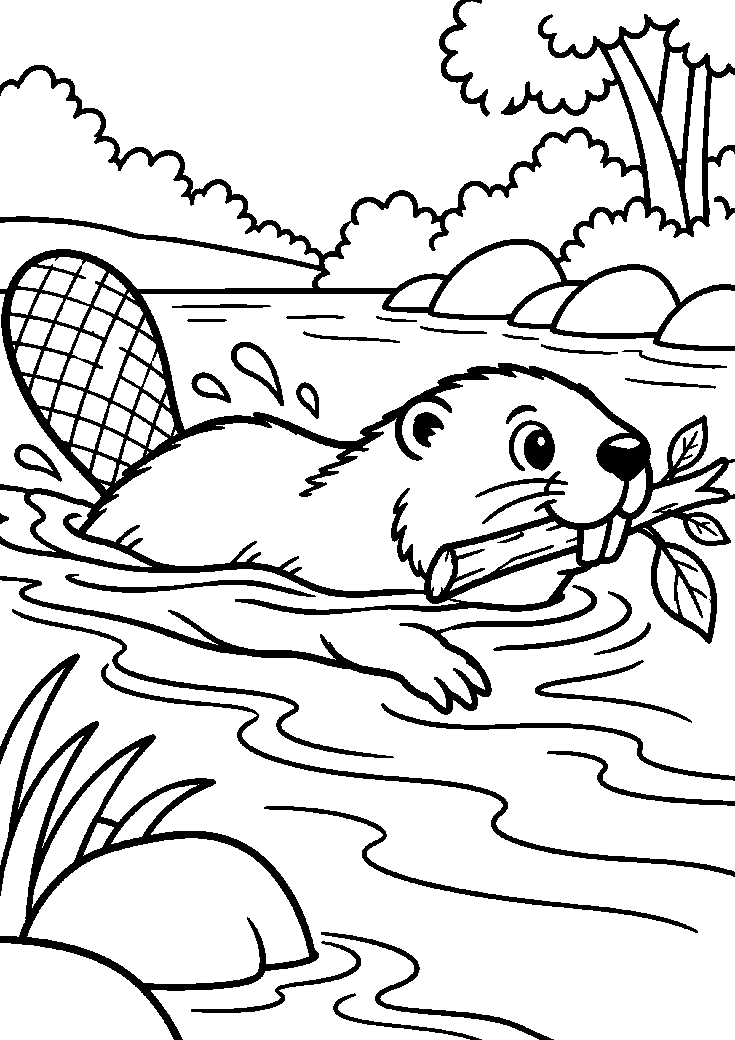 Grand coloriage d’un castor dans une végétation simple, contours noirs nets sur fond blanc