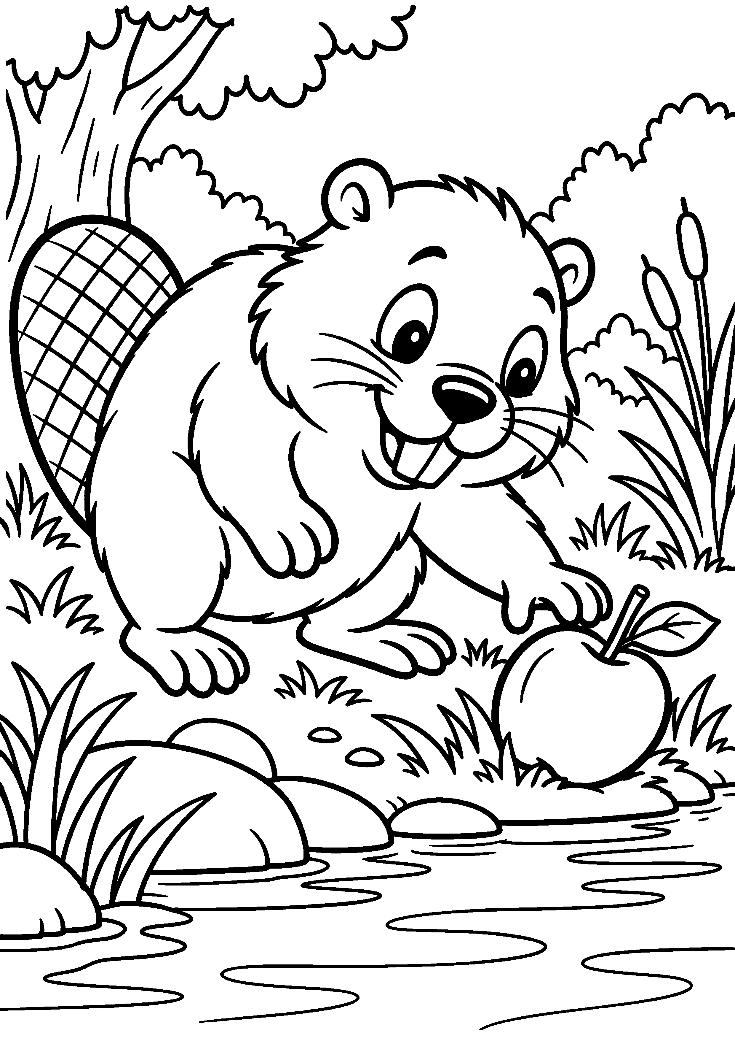 Grand coloriage d’un castor interagissant avec un congénère, contours noirs nets sur fond blanc