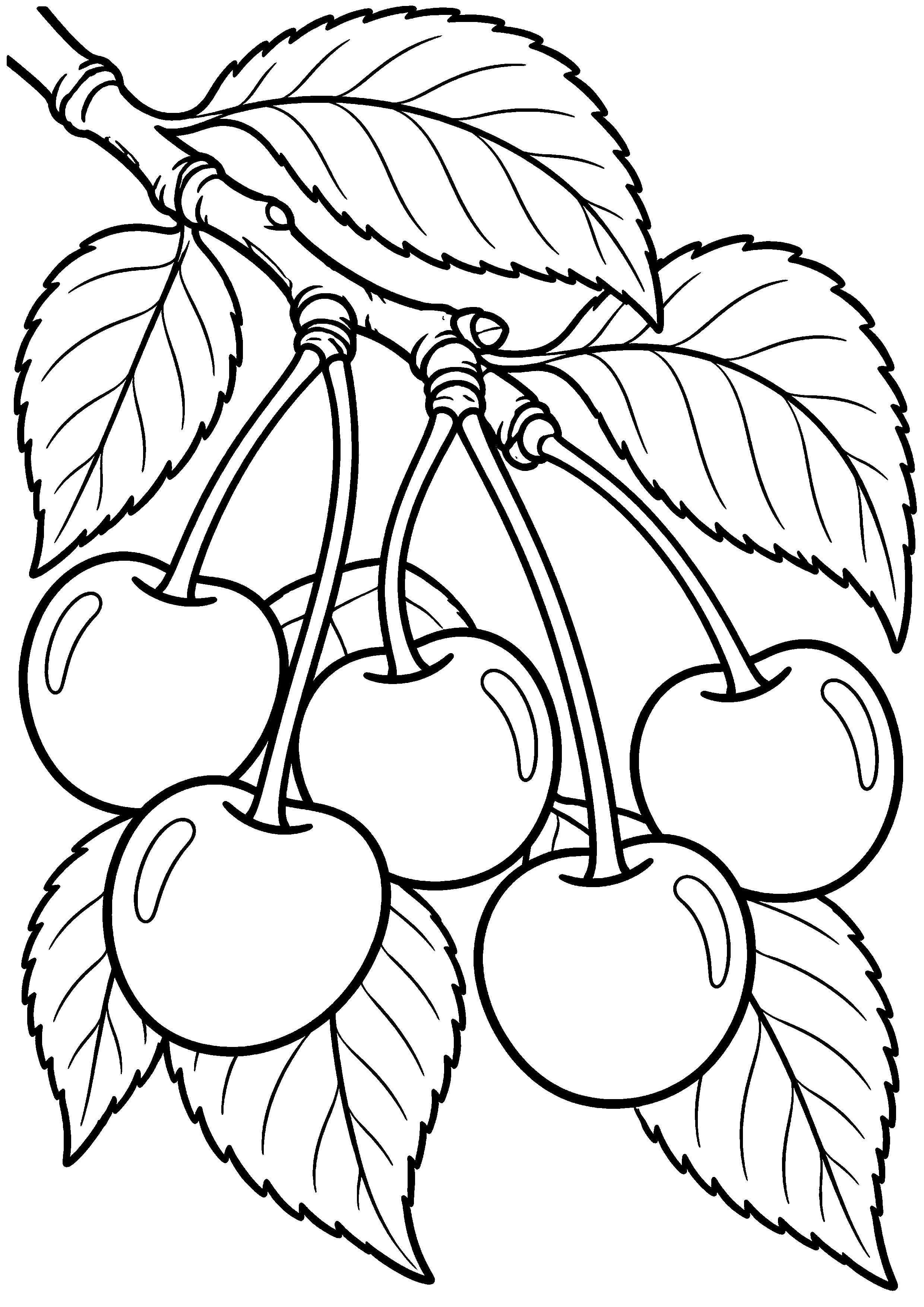 Coloriage cerise entière en vue de trois quarts à imprimer