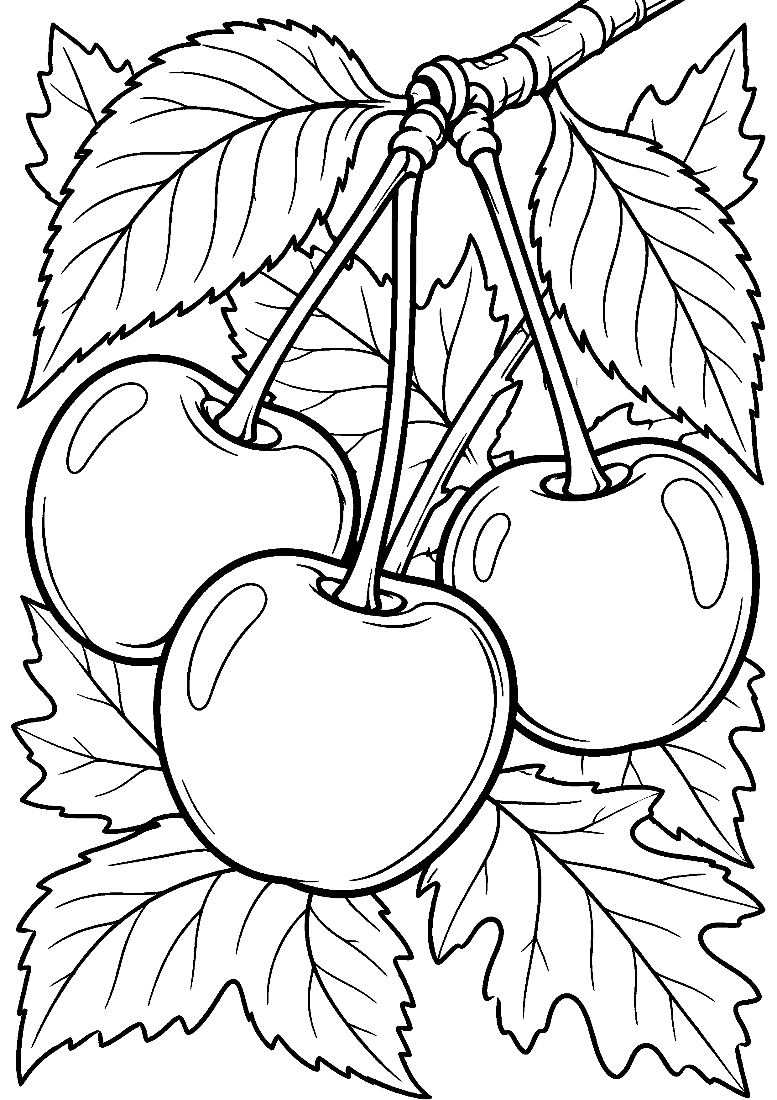 Grand coloriage d’une cerise dans un motif avec une grande unité centrale, contours noirs nets sur fond blanc