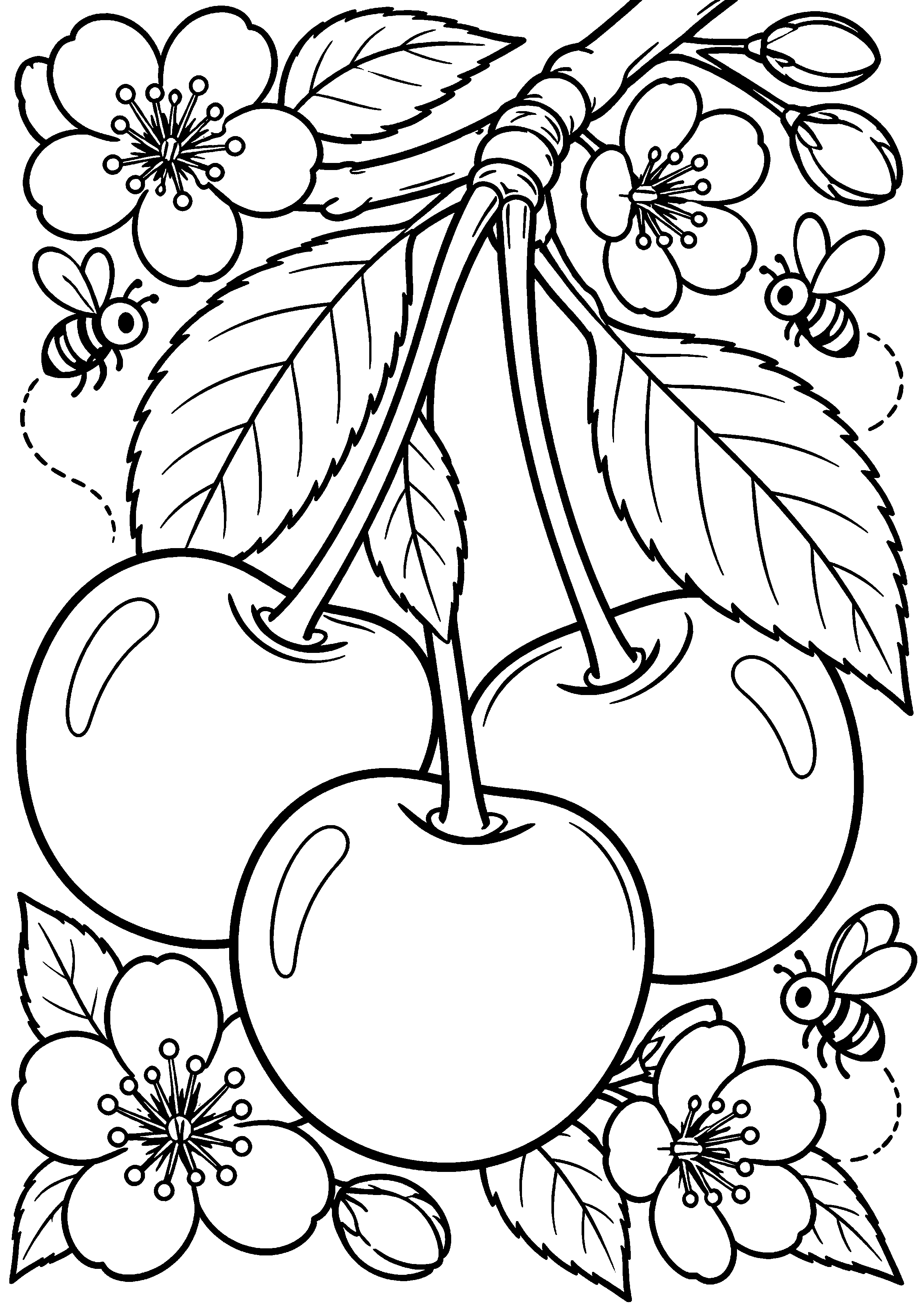Grand coloriage d’une cerise prête à servir sur une grande assiette, contours noirs nets sur fond blanc