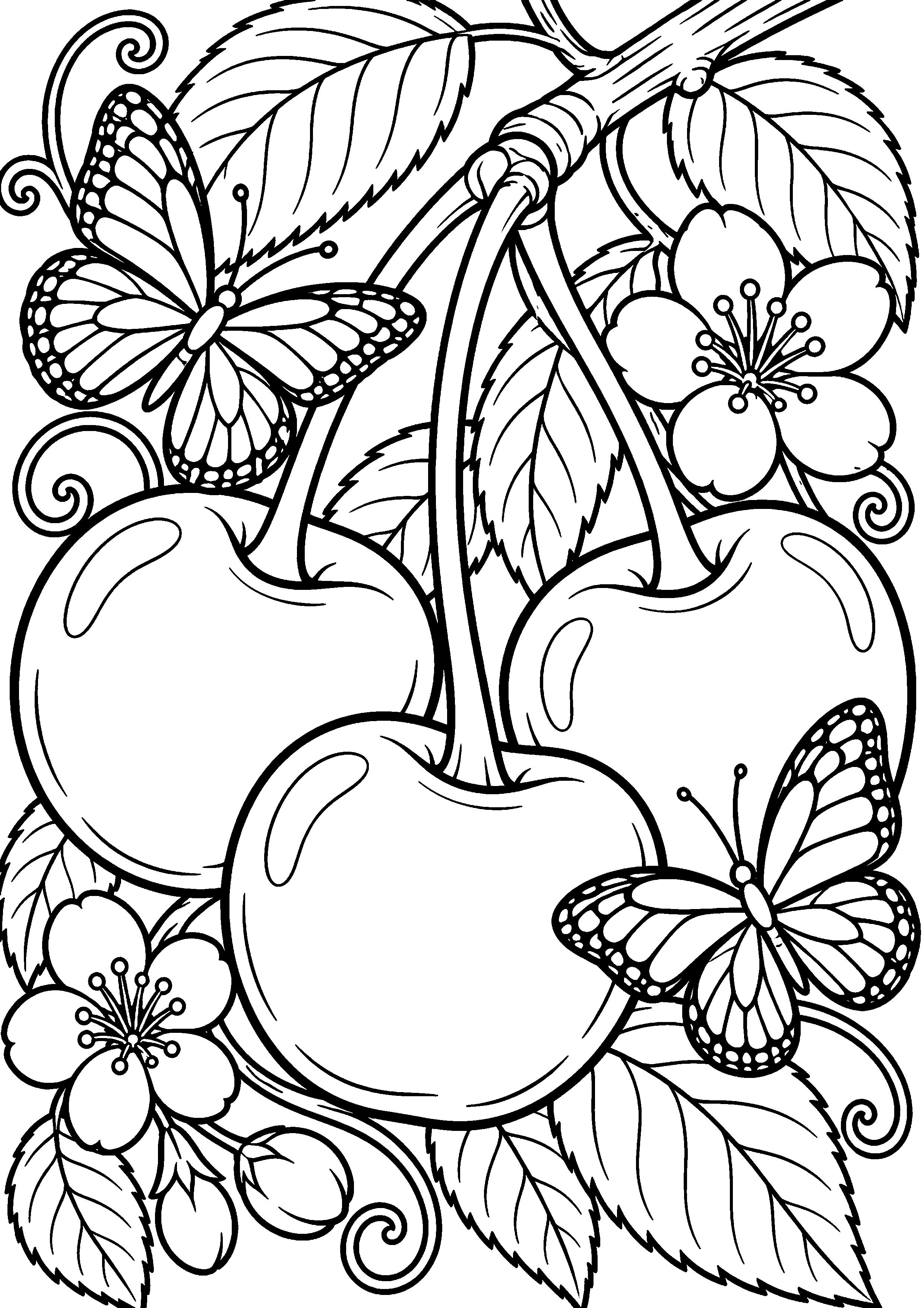 Grand coloriage d’une cerise dans un emballage neutre ouvert, contours noirs nets sur fond blanc