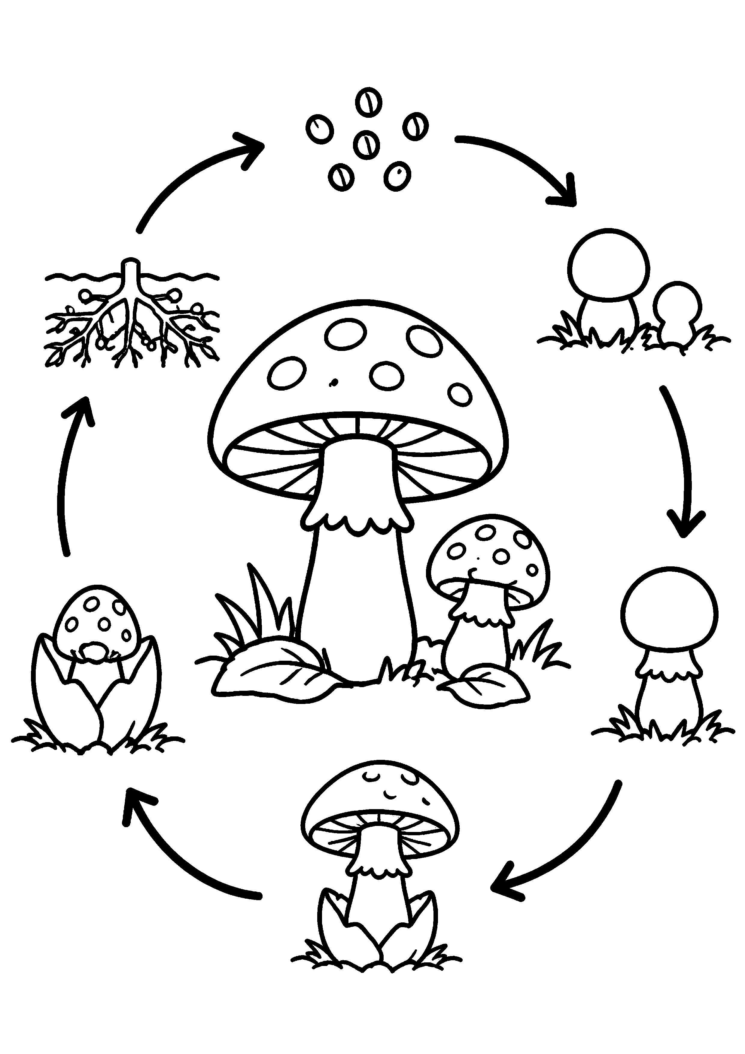 Coloriage Champignon à imprimer – dessin n°5