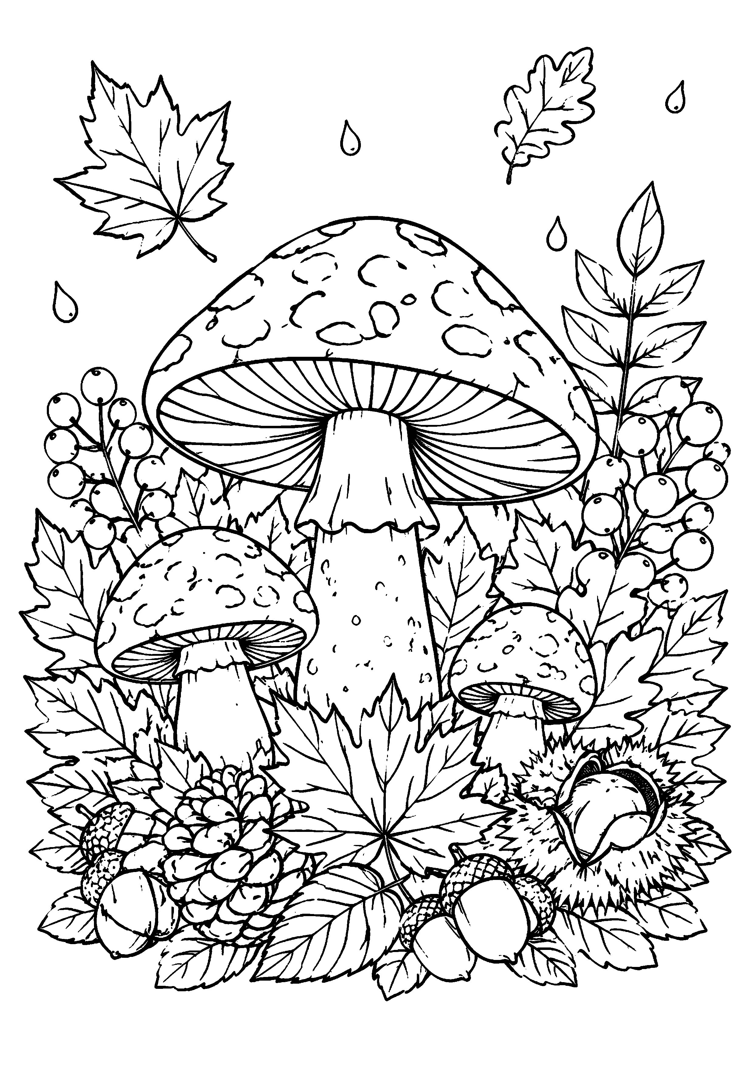Coloriage Champignon à imprimer – dessin n°18