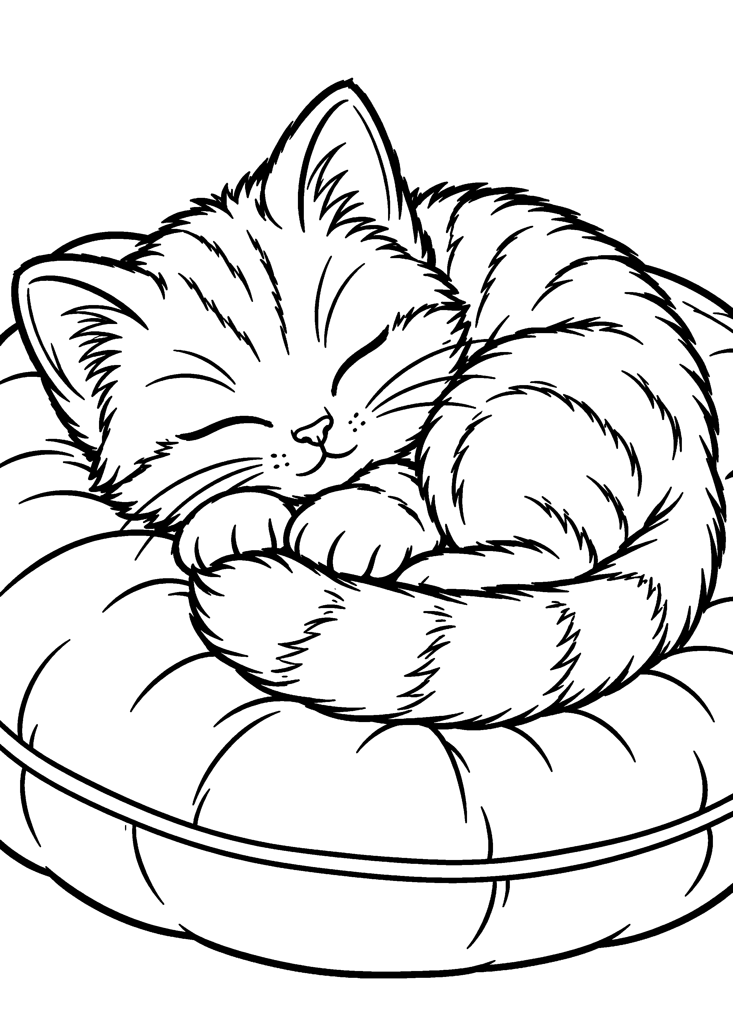 Coloriage représentant chaton endormi en boule sur un coussin en grand sur une page A4