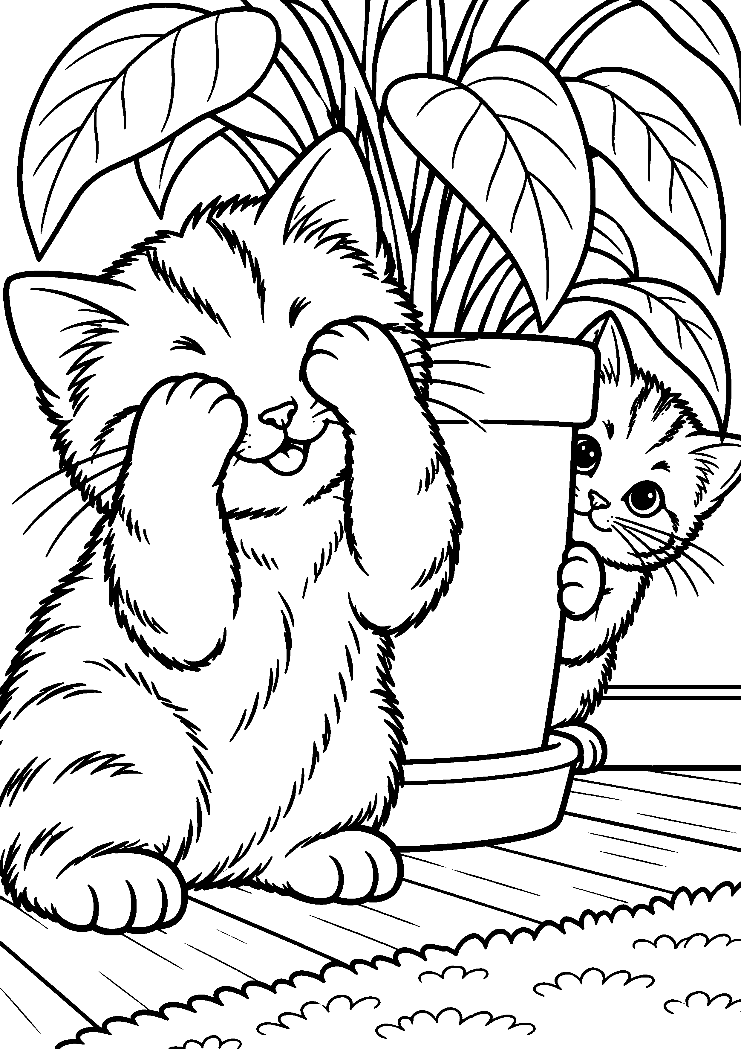 Coloriage représentant deux chatons jouant à cache-cache en grand sur une page A4