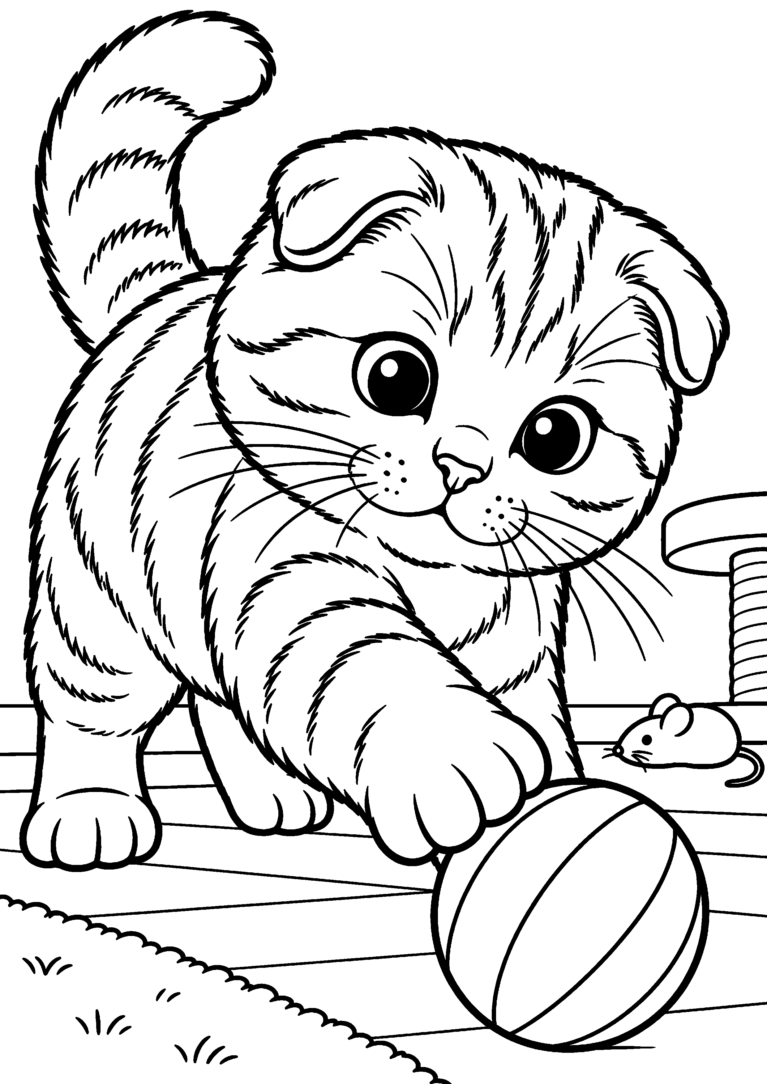 Coloriage représentant chat aux oreilles repliées jouant avec une balle en grand sur une page A4