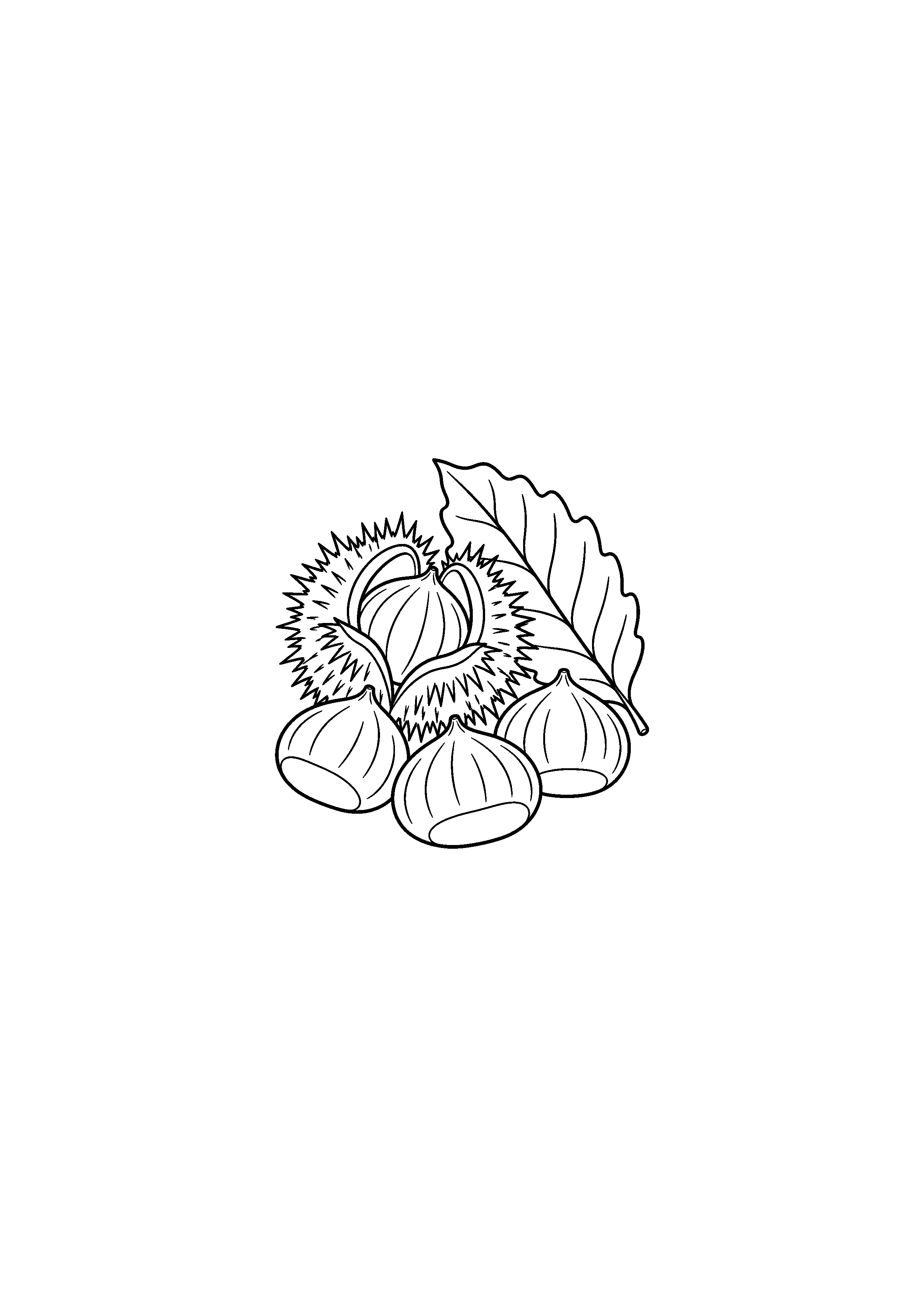 Coloriage trois châtaignes près d'une bogue ouverte à imprimer