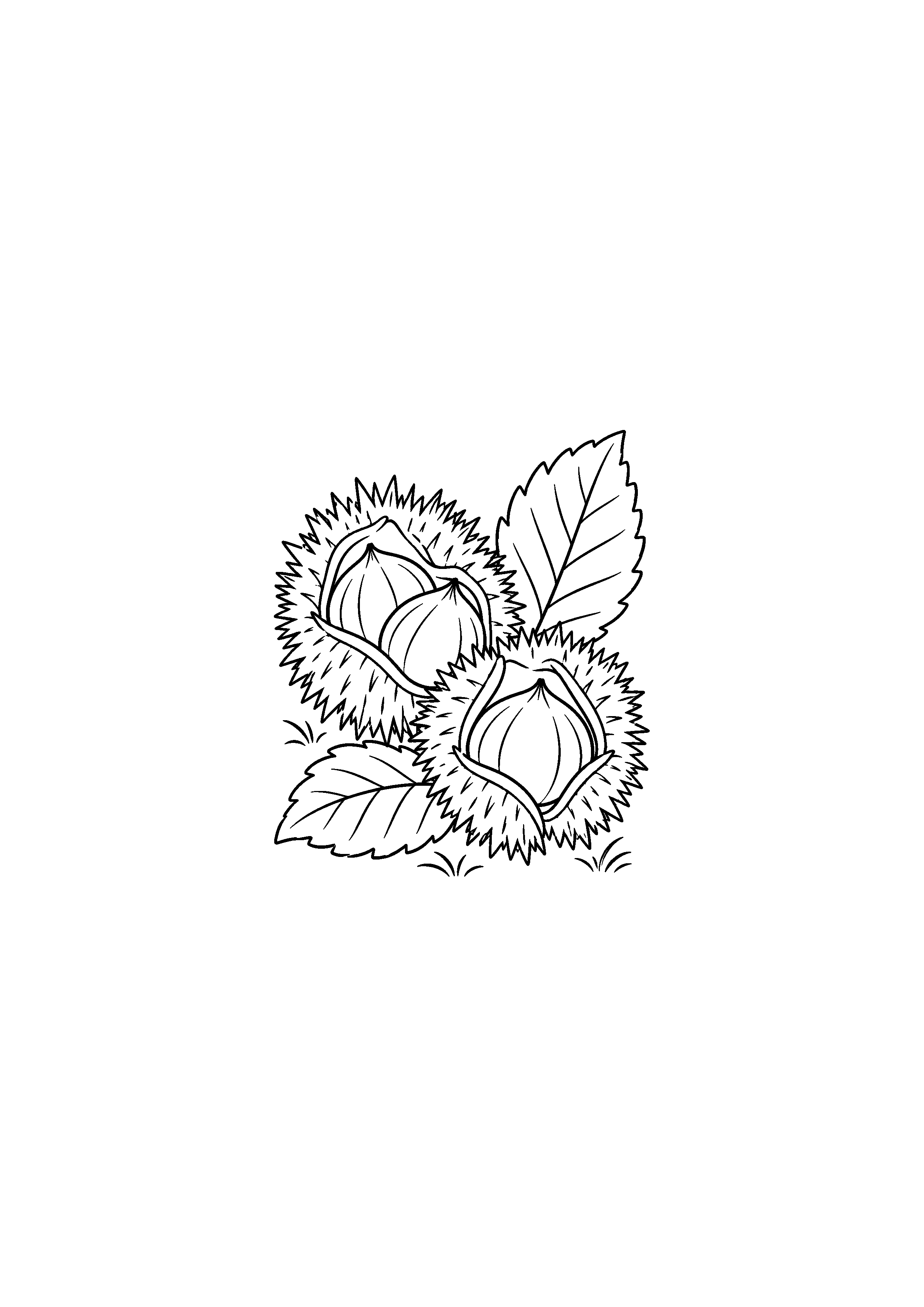 Coloriage bogues ouvertes laissant voir les châtaignes à imprimer