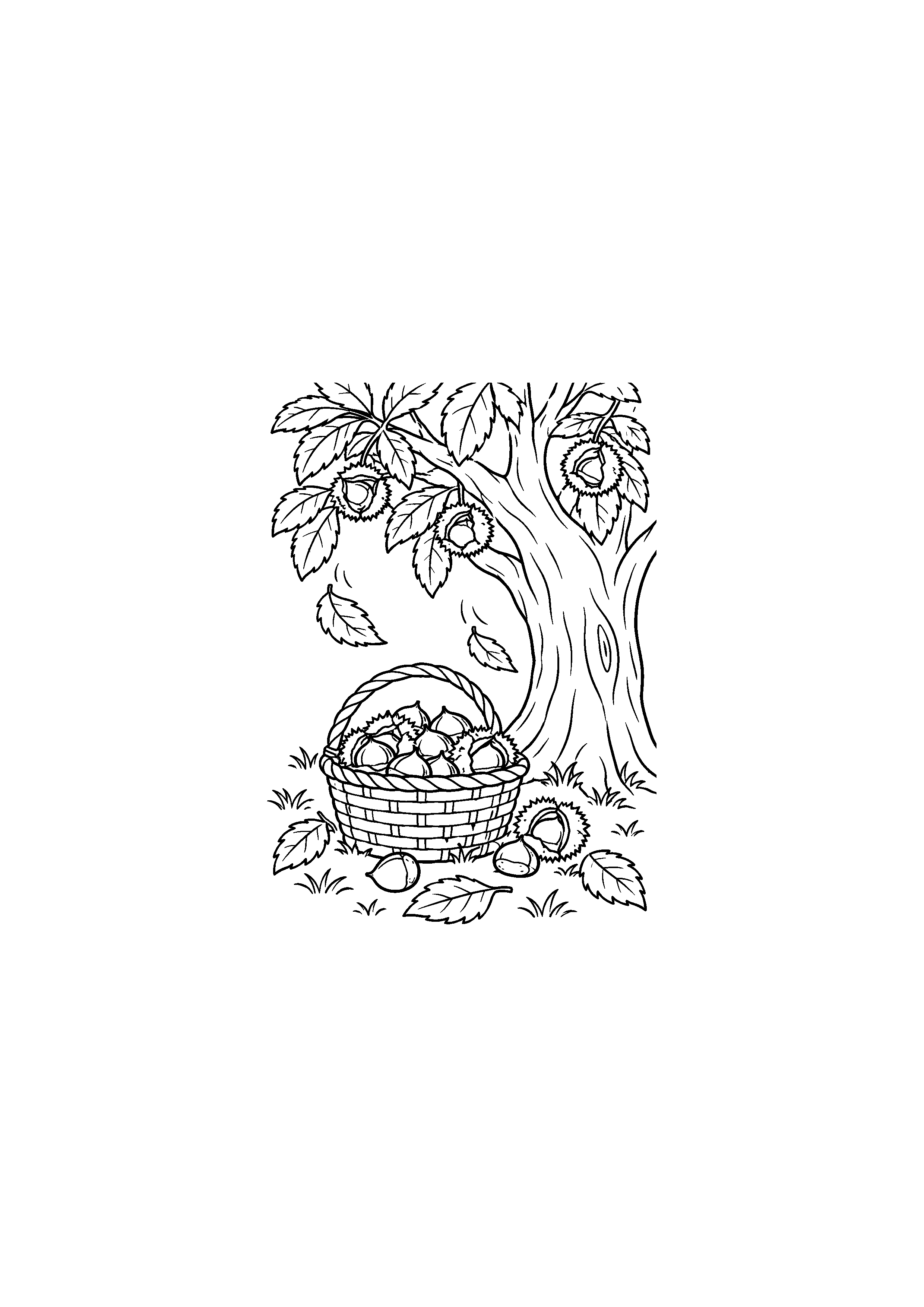 Coloriage panier de châtaignes sous un grand châtaignier à imprimer