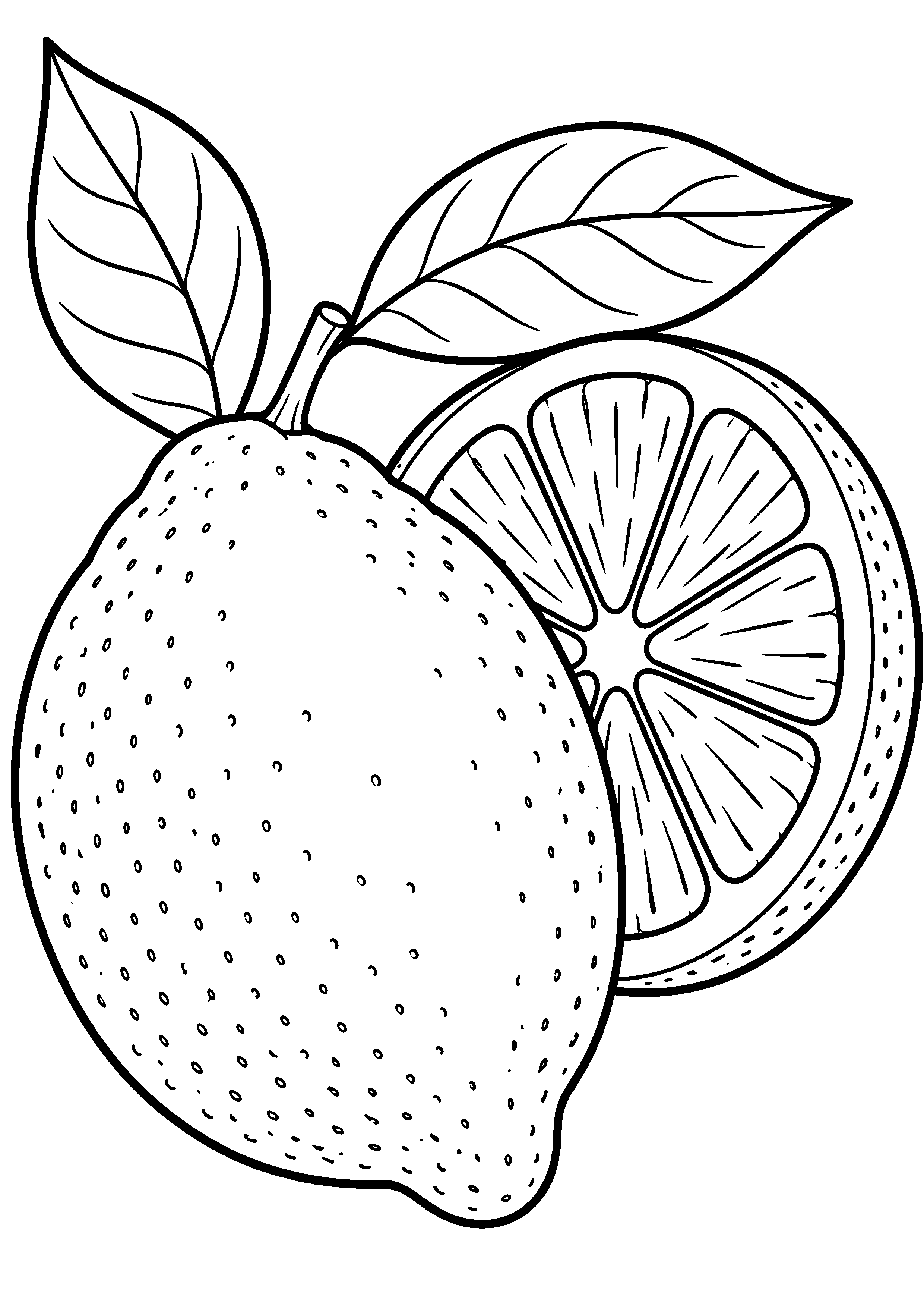 Grand coloriage d’un citron entier accompagné d’une grande tranche, contours noirs nets sur fond blanc