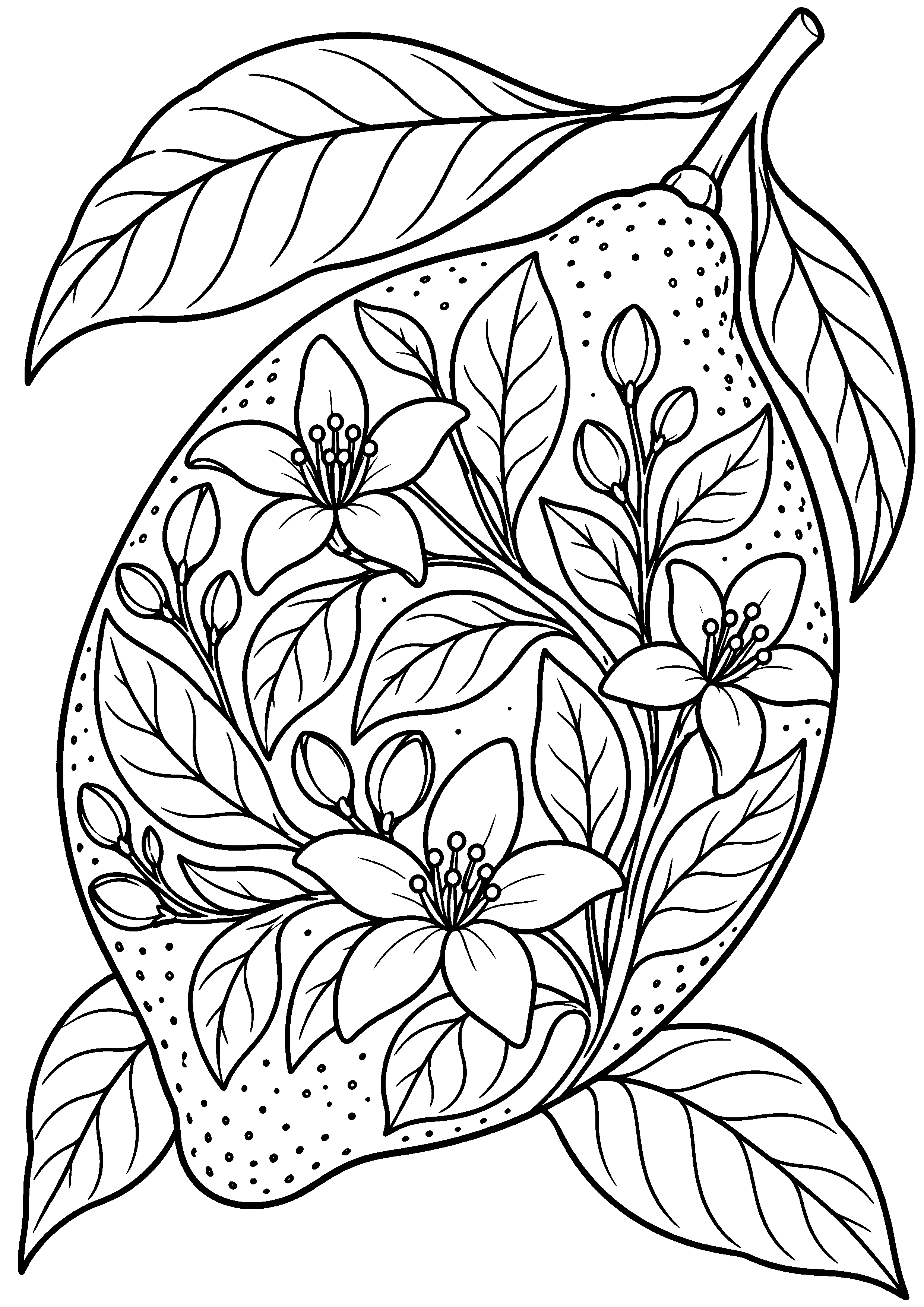 Grand coloriage d’un citron rempli de motifs botaniques à colorier, contours noirs nets sur fond blanc