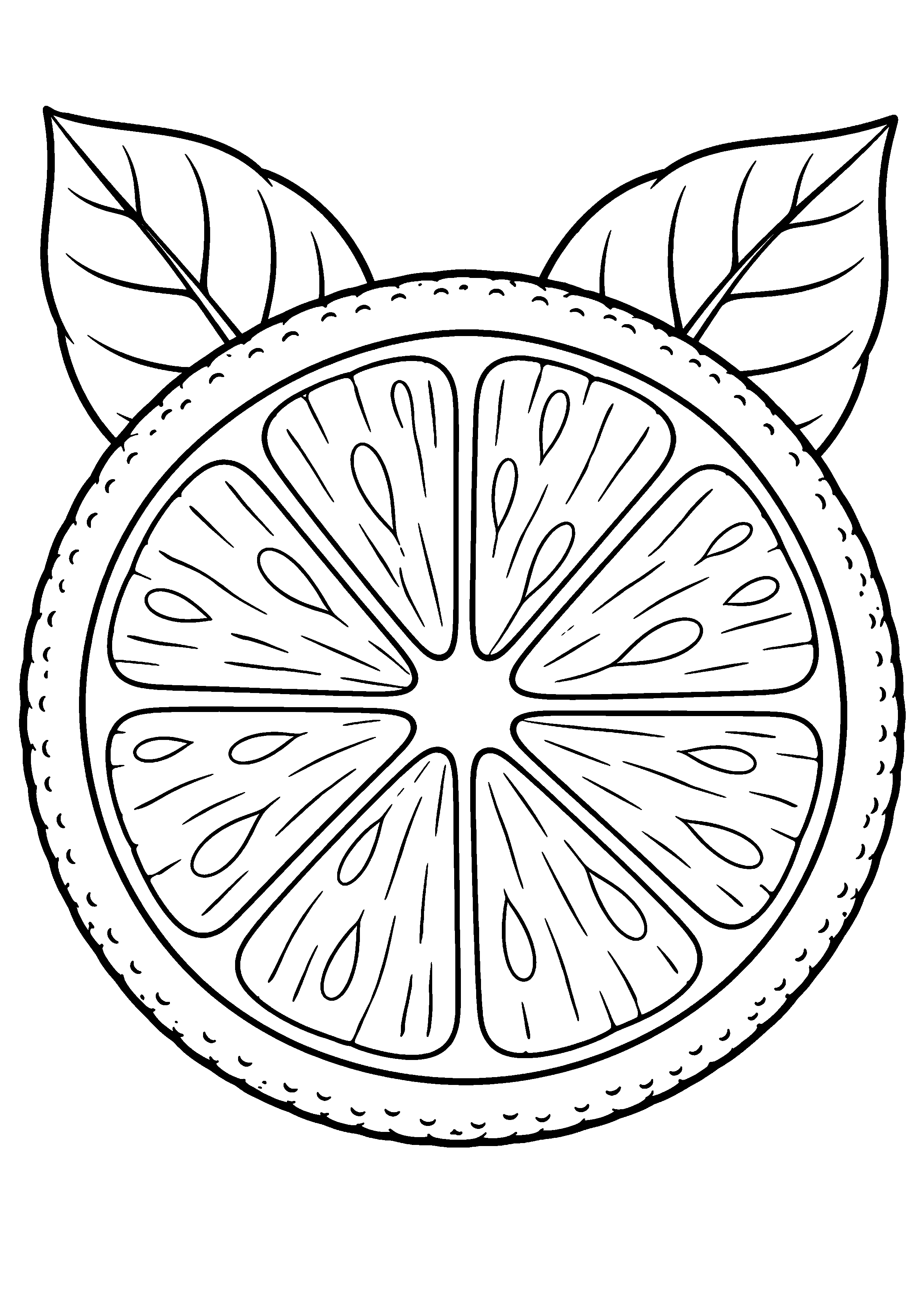 Grand coloriage d’un citron en tranche géante vue de face, contours noirs nets sur fond blanc