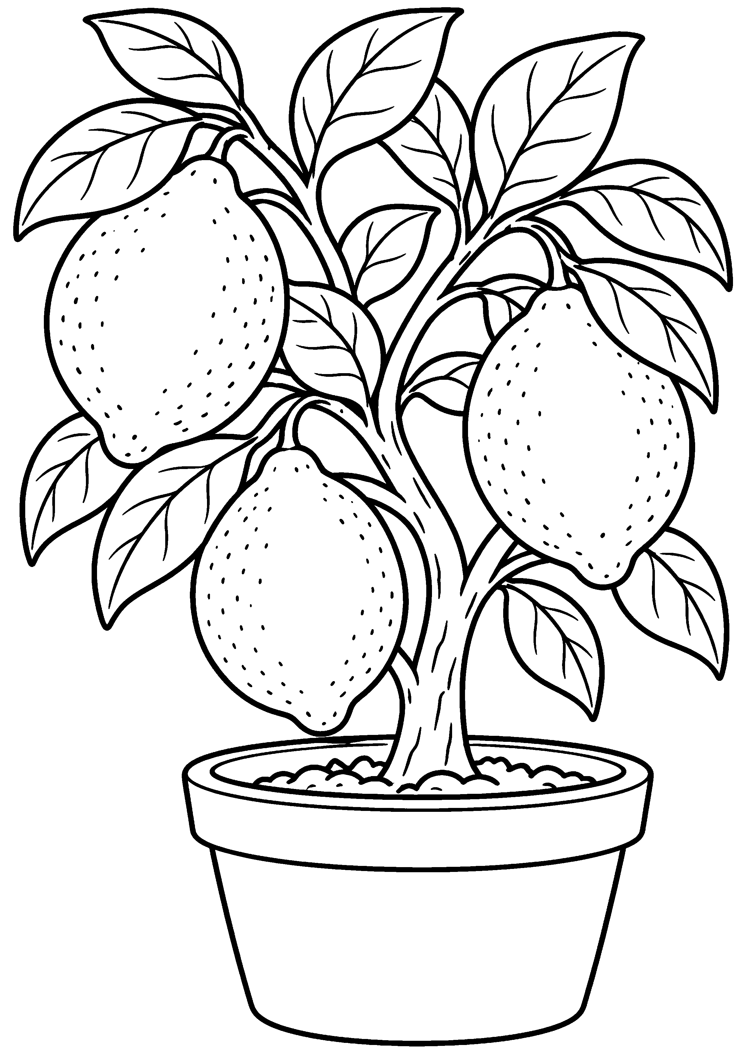 Grand coloriage d’un citron sur un petit citronnier en pot, contours noirs nets sur fond blanc