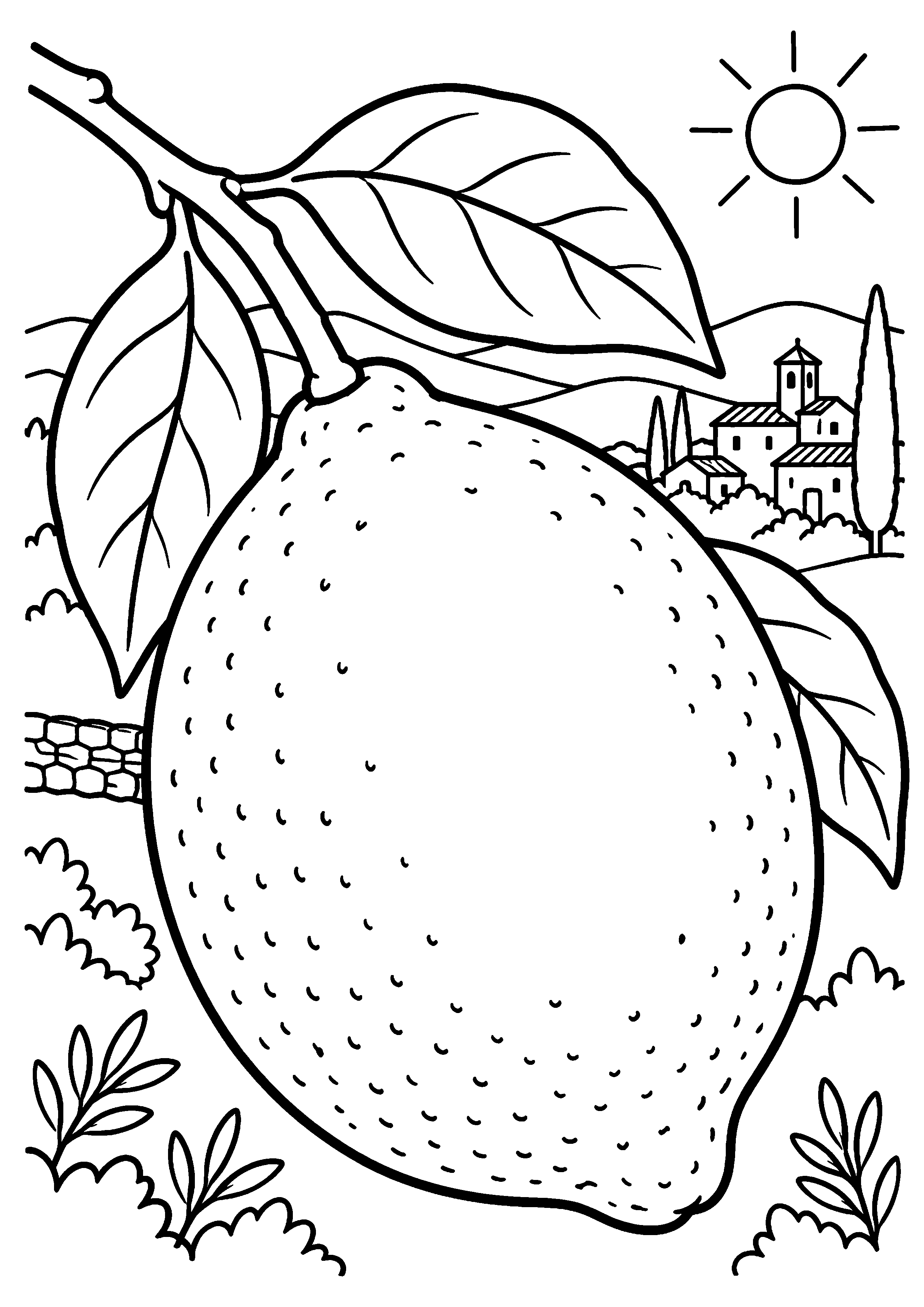 Grand coloriage d’un citron dans un paysage méditerranéen ensoleillé, contours noirs nets sur fond blanc