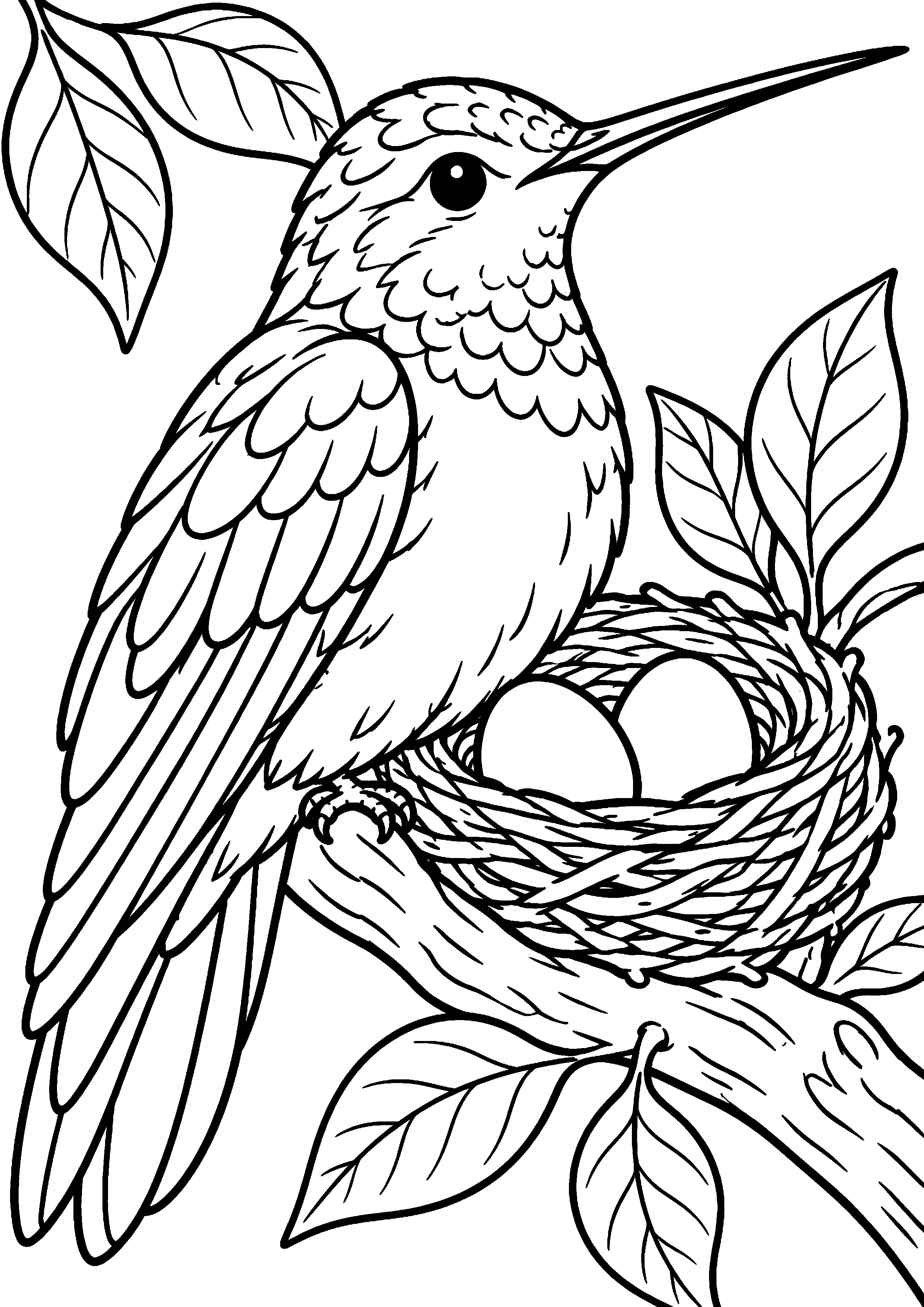 Grand coloriage d’un colibri près d’un nid avec des œufs, contours noirs nets sur fond blanc