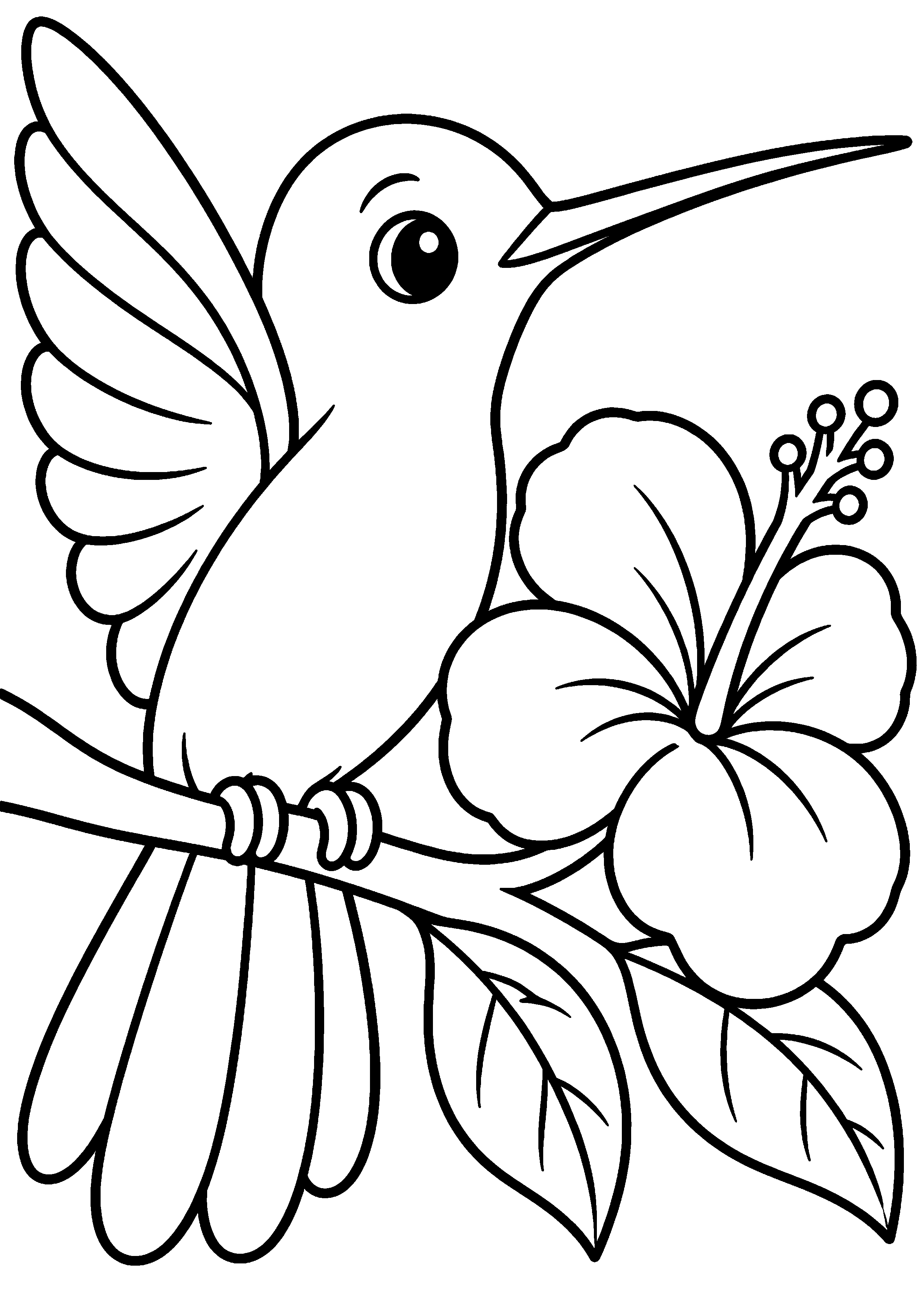Grand coloriage d’un colibri en version facile pour enfant, contours noirs nets sur fond blanc