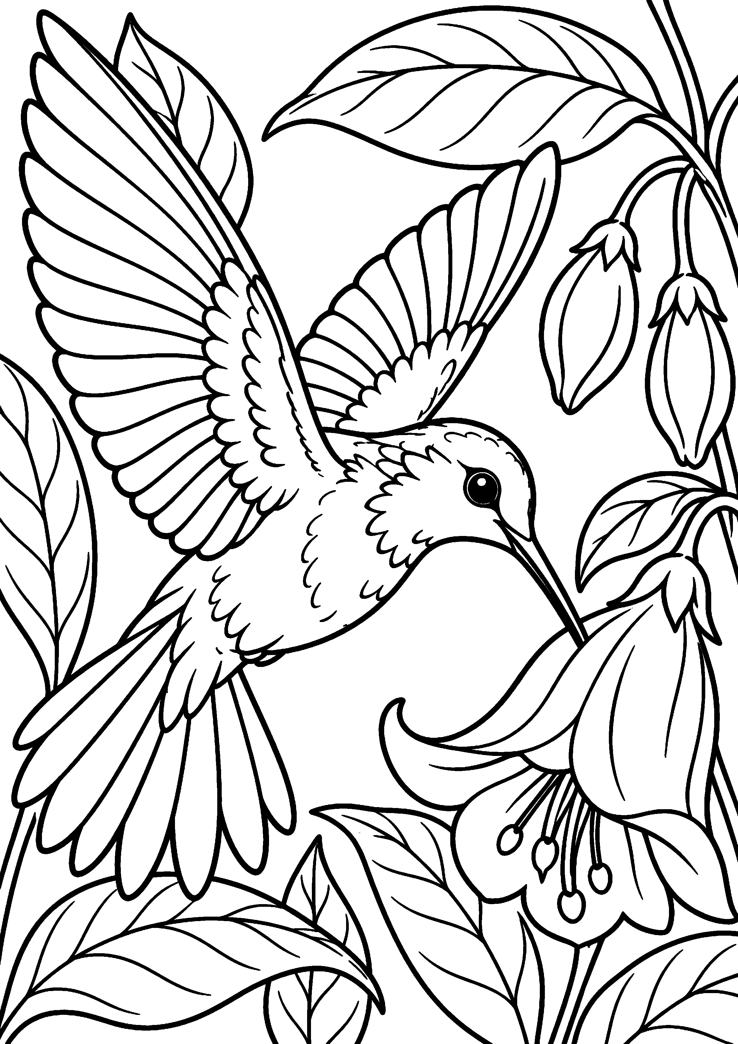 Grand coloriage d’un colibri près d’une fleur en forme de clochette, contours noirs nets sur fond blanc