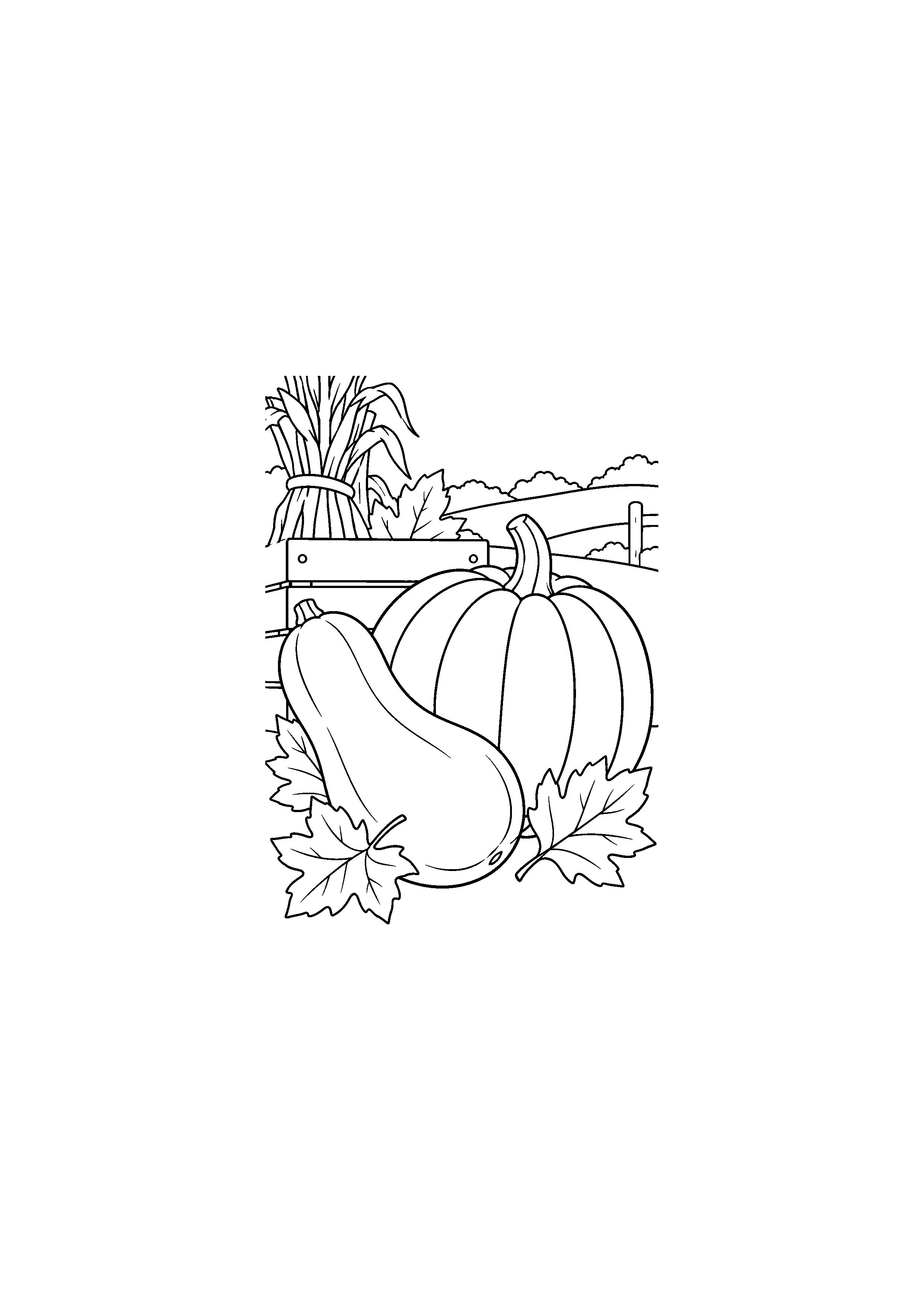 Potiron rond et courge butternut avec feuilles