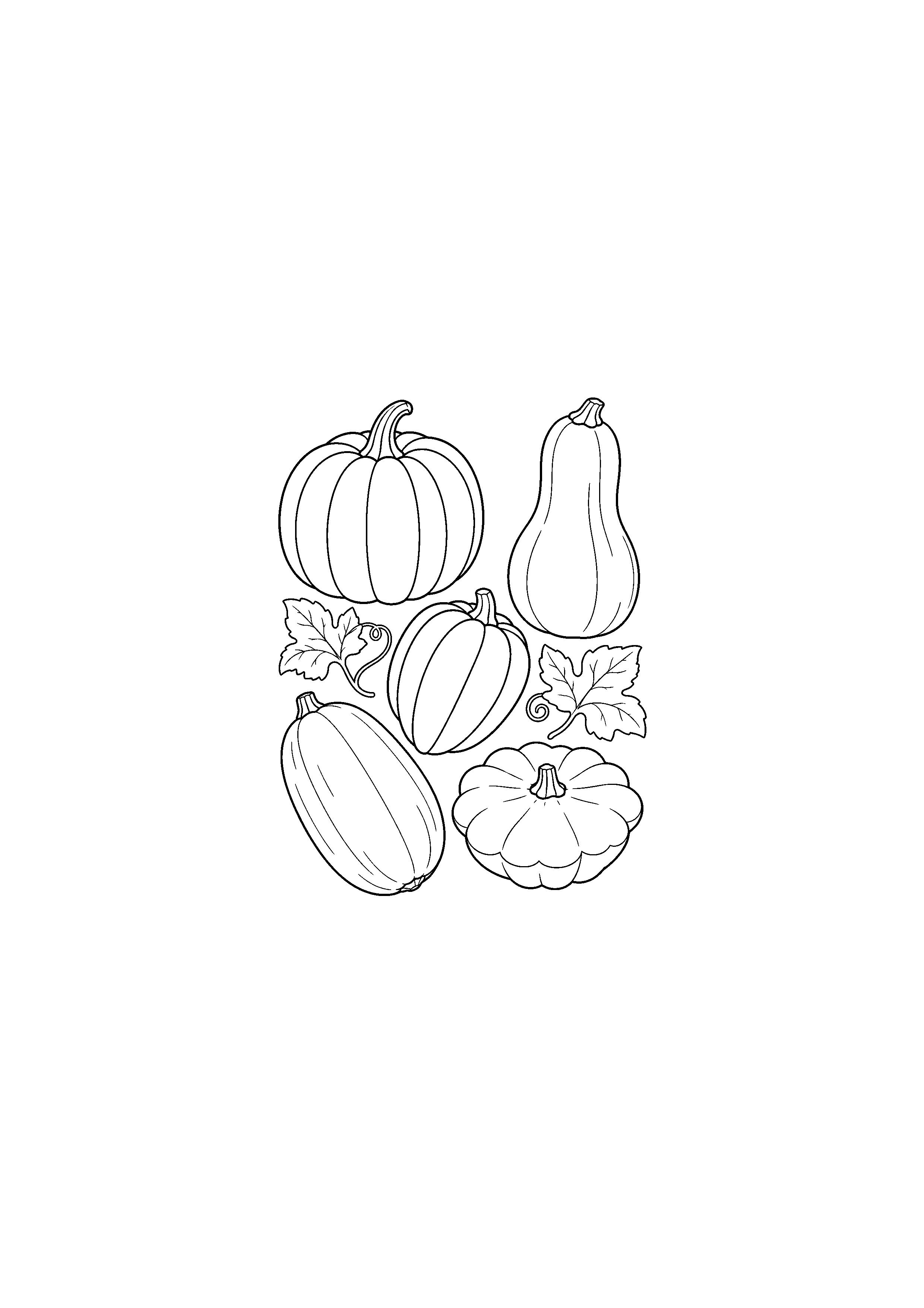 Cinq courges comestibles aux formes variées