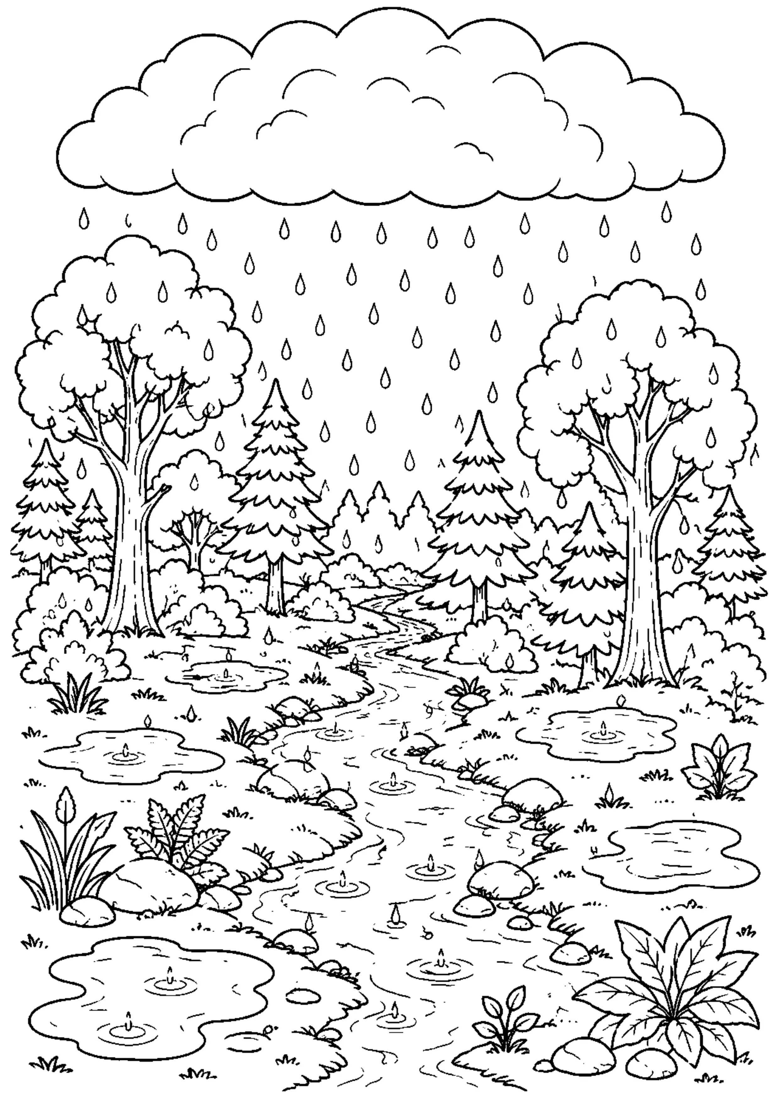 Coloriage Cycle de l’eau à imprimer – dessin n°5