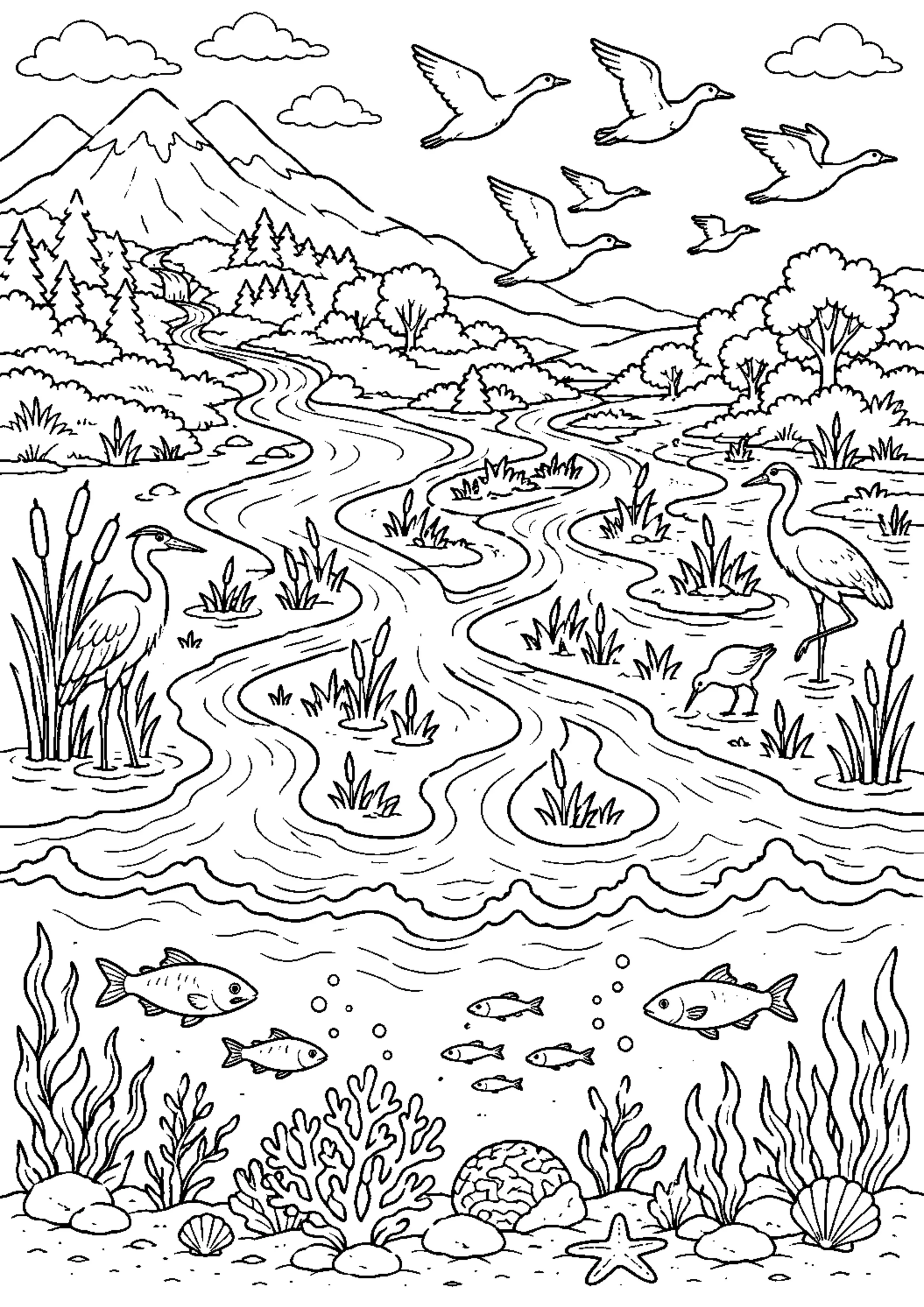 Coloriage Cycle de l’eau à imprimer – dessin n°12