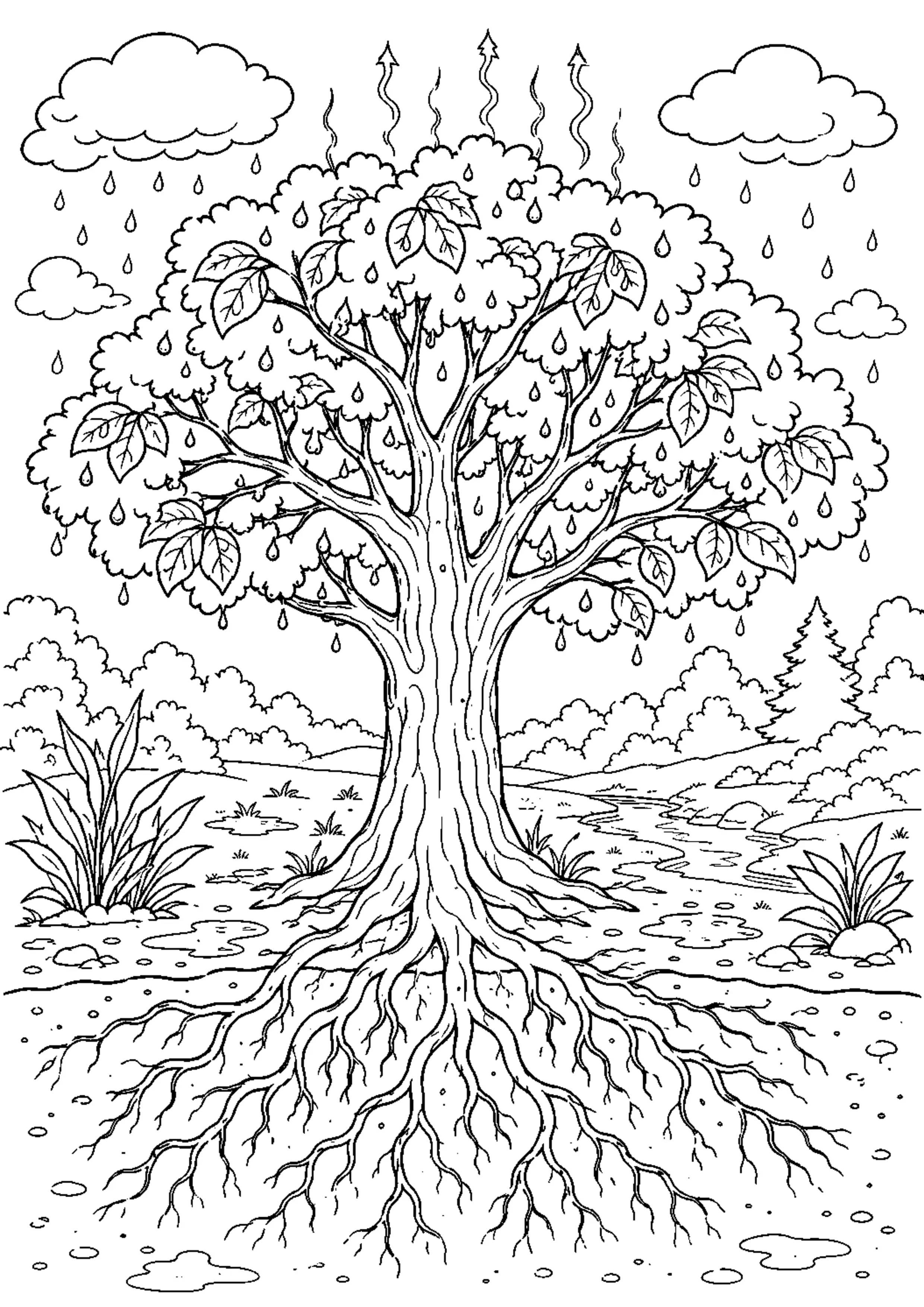 Coloriage Cycle de l’eau à imprimer – dessin n°14