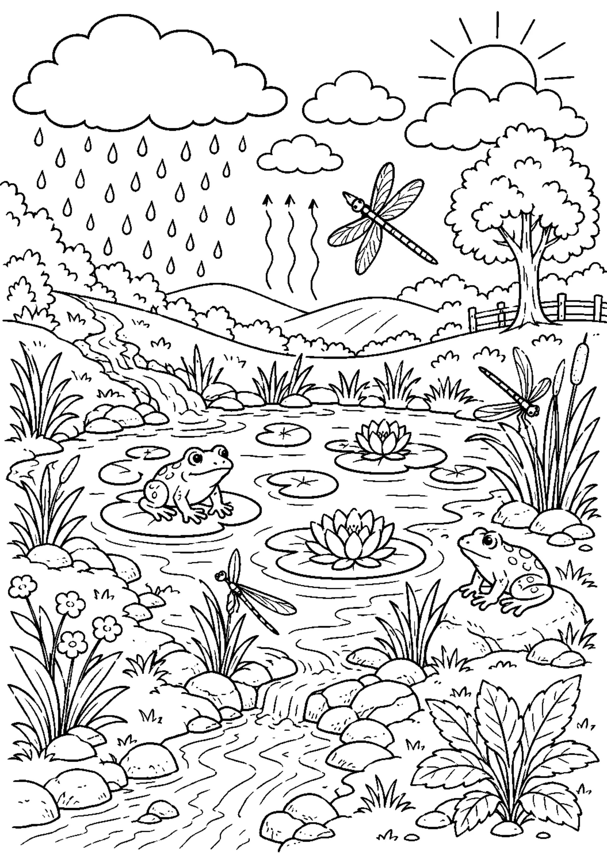Coloriage Cycle de l’eau à imprimer – dessin n°15
