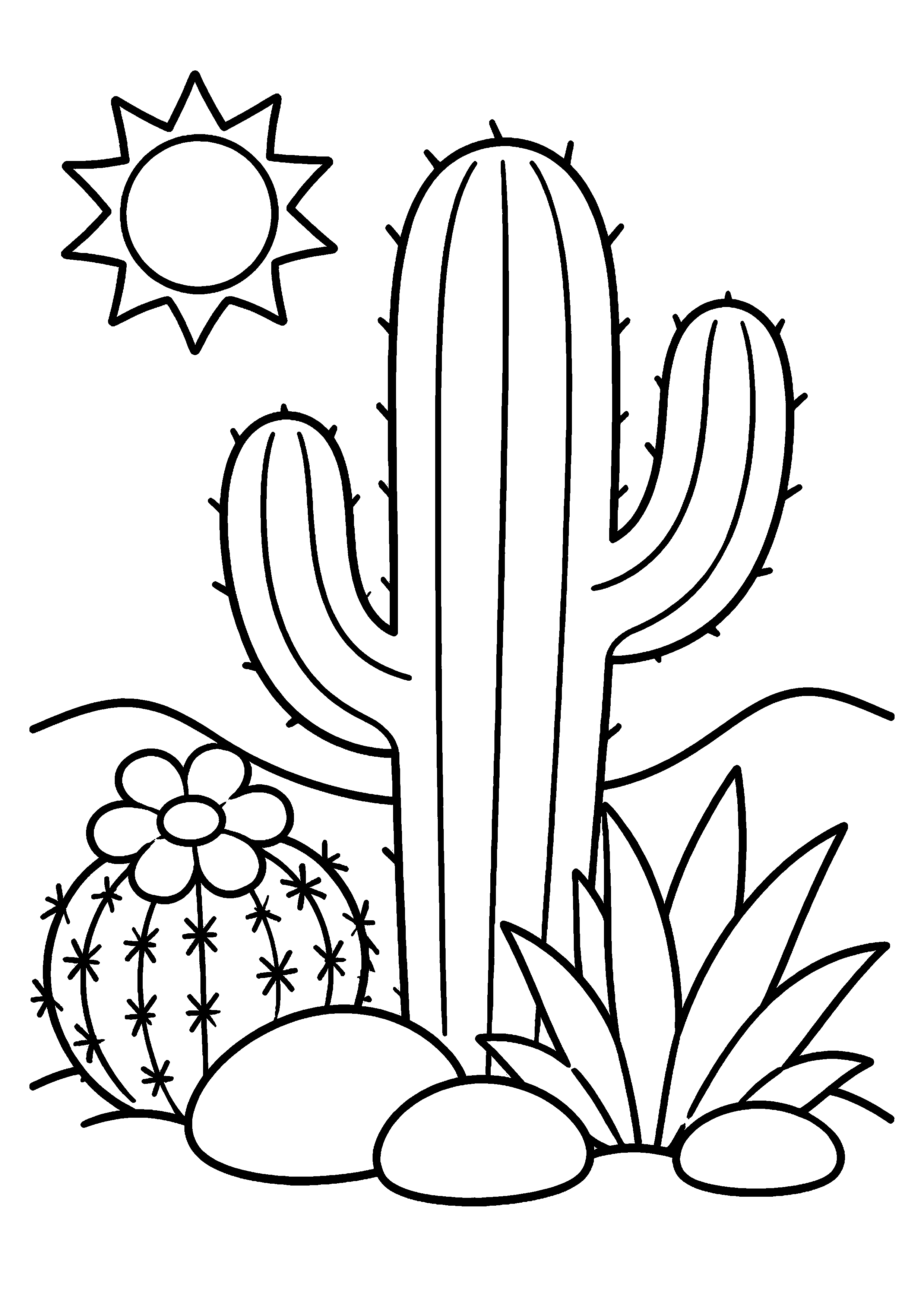 Coloriage cactus et plante grasse sous le soleil à imprimer