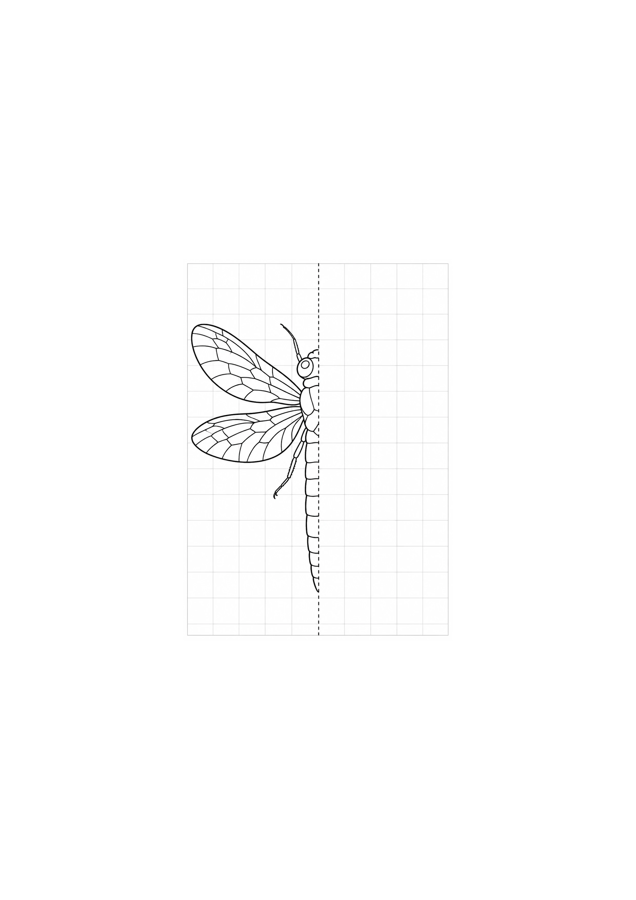 Coloriage libellule à imprimer