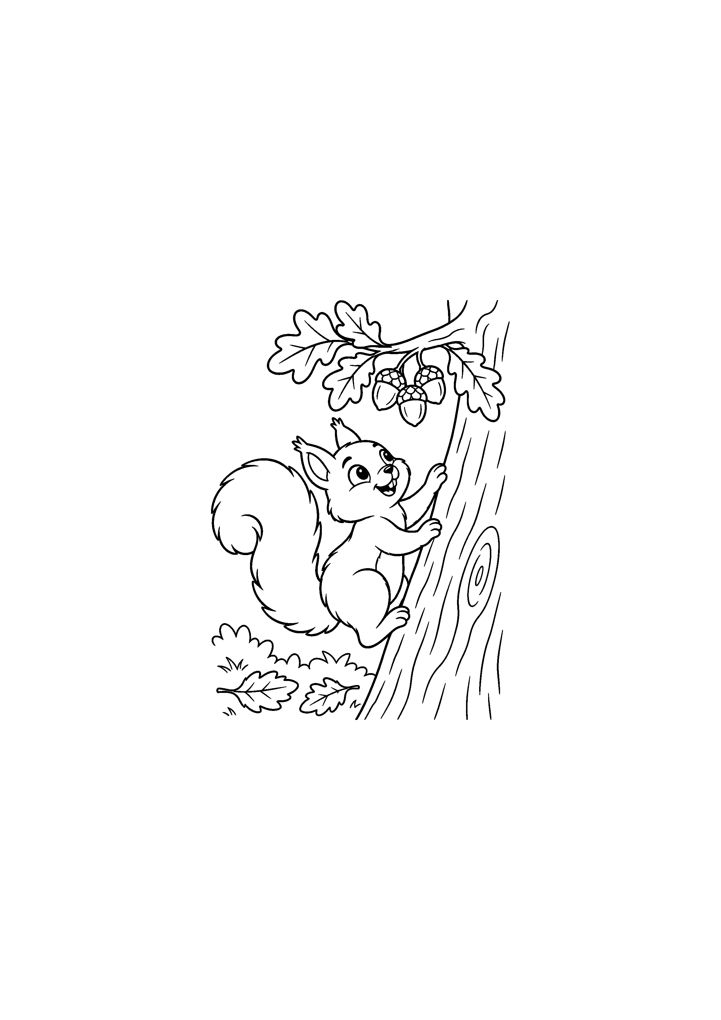 Coloriage écureuil grimpant vers une branche avec des glands à imprimer