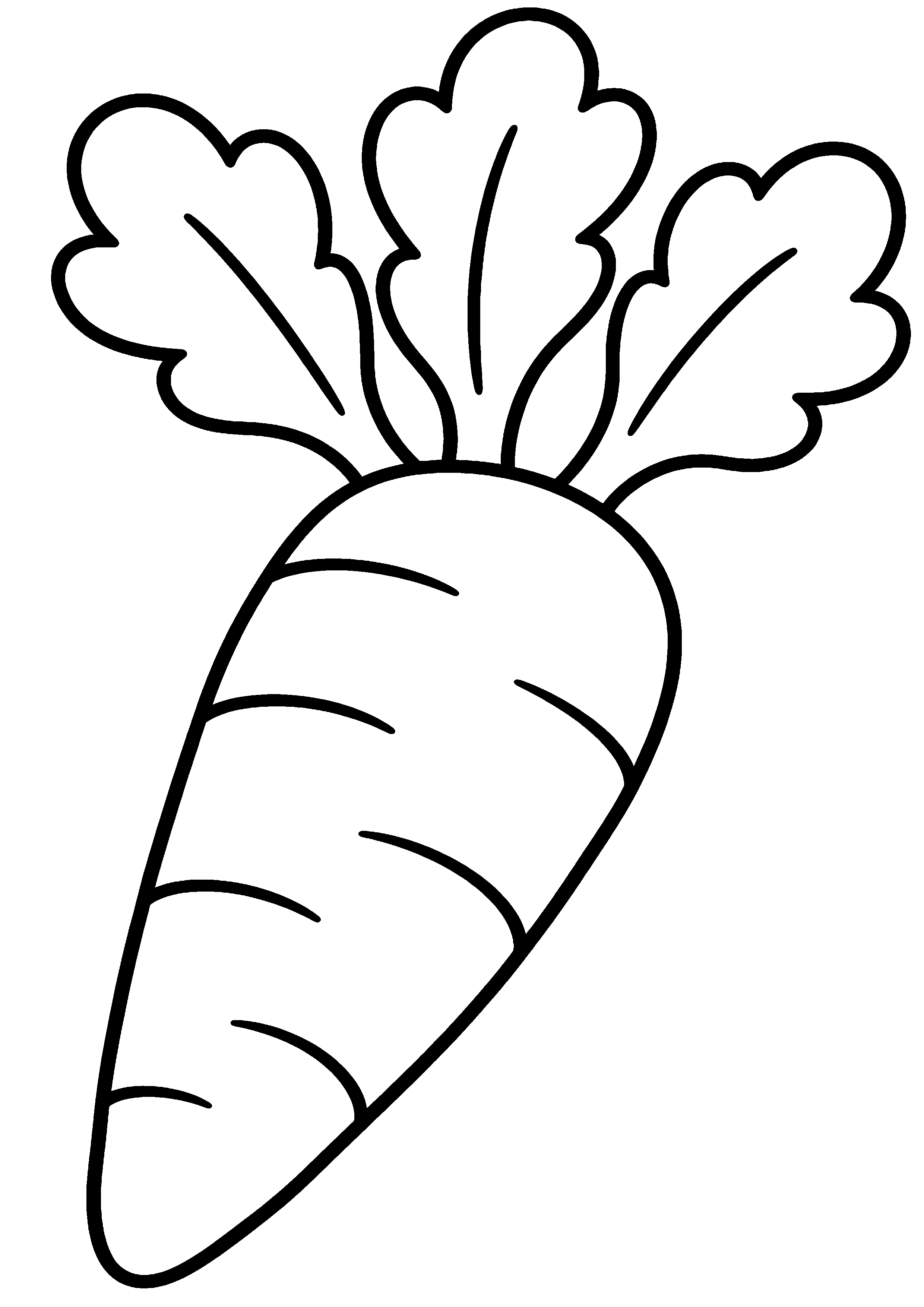 Coloriage facile pour maternelle représentant carotte avec trois grandes fanes en grand
