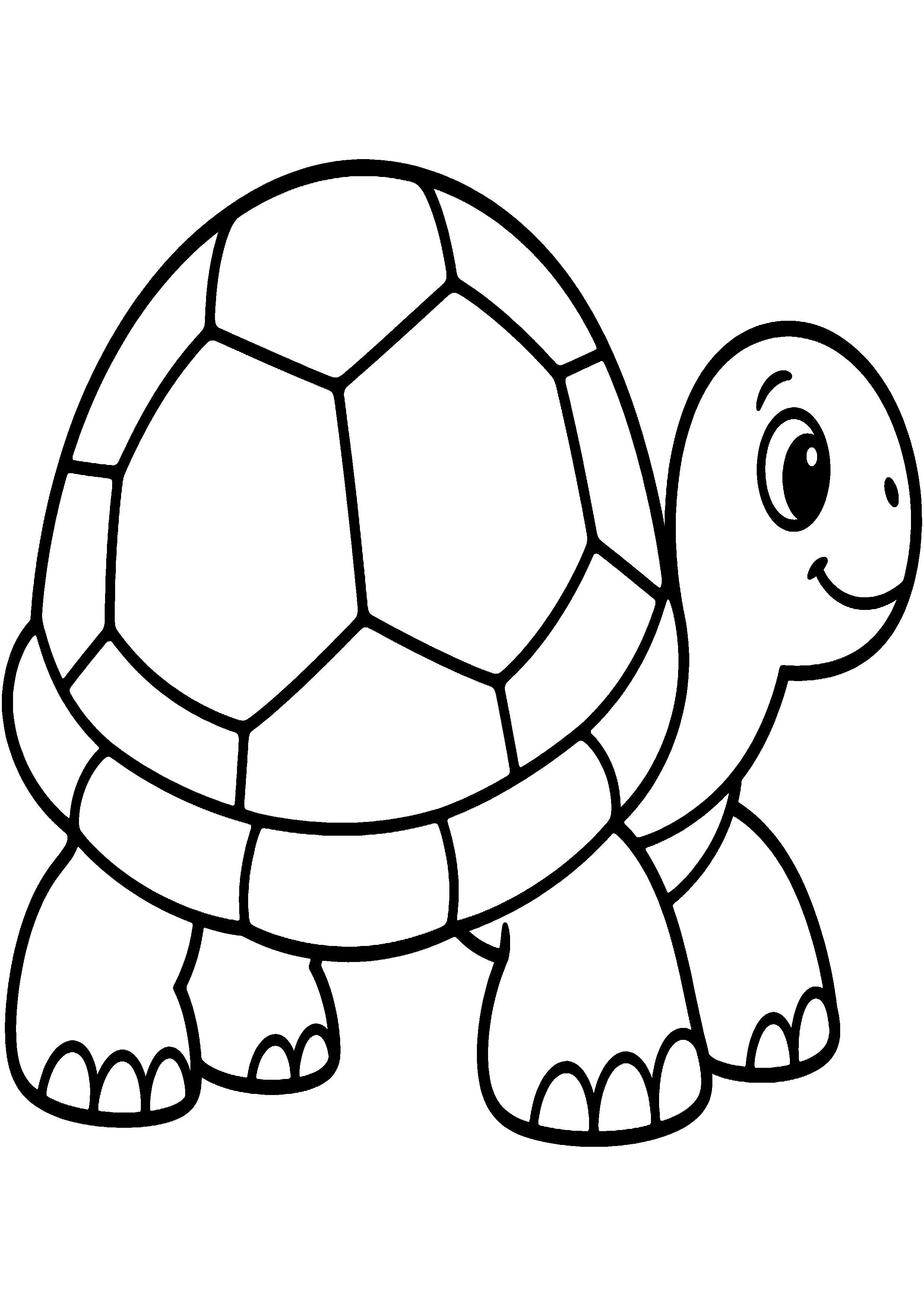 Coloriage facile pour maternelle représentant tortue vue de côté à grosse carapace en grand