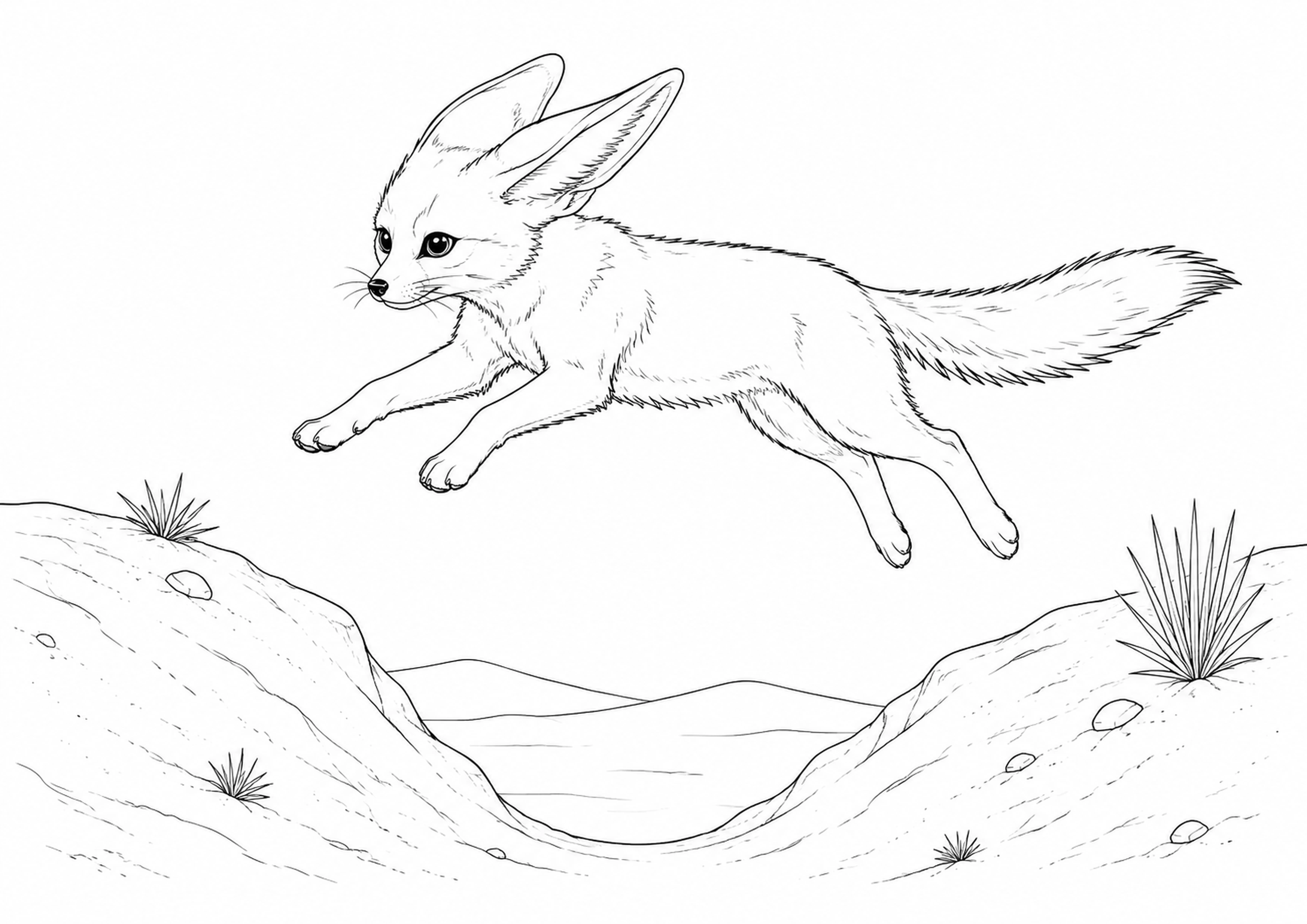 Coloriage Fennec à imprimer – dessin n°5