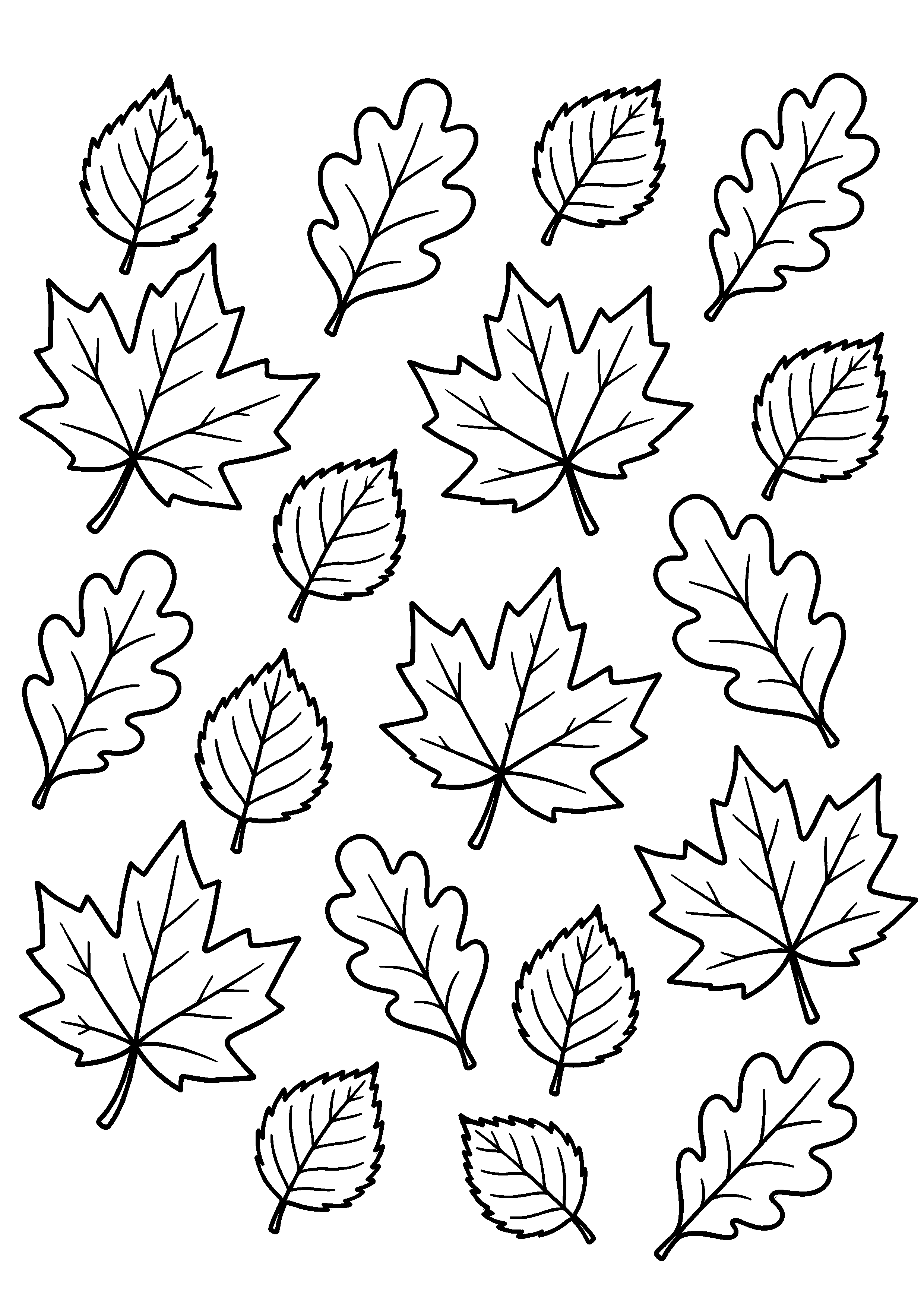 Coloriage Feuille d'automne à imprimer – dessin n°9