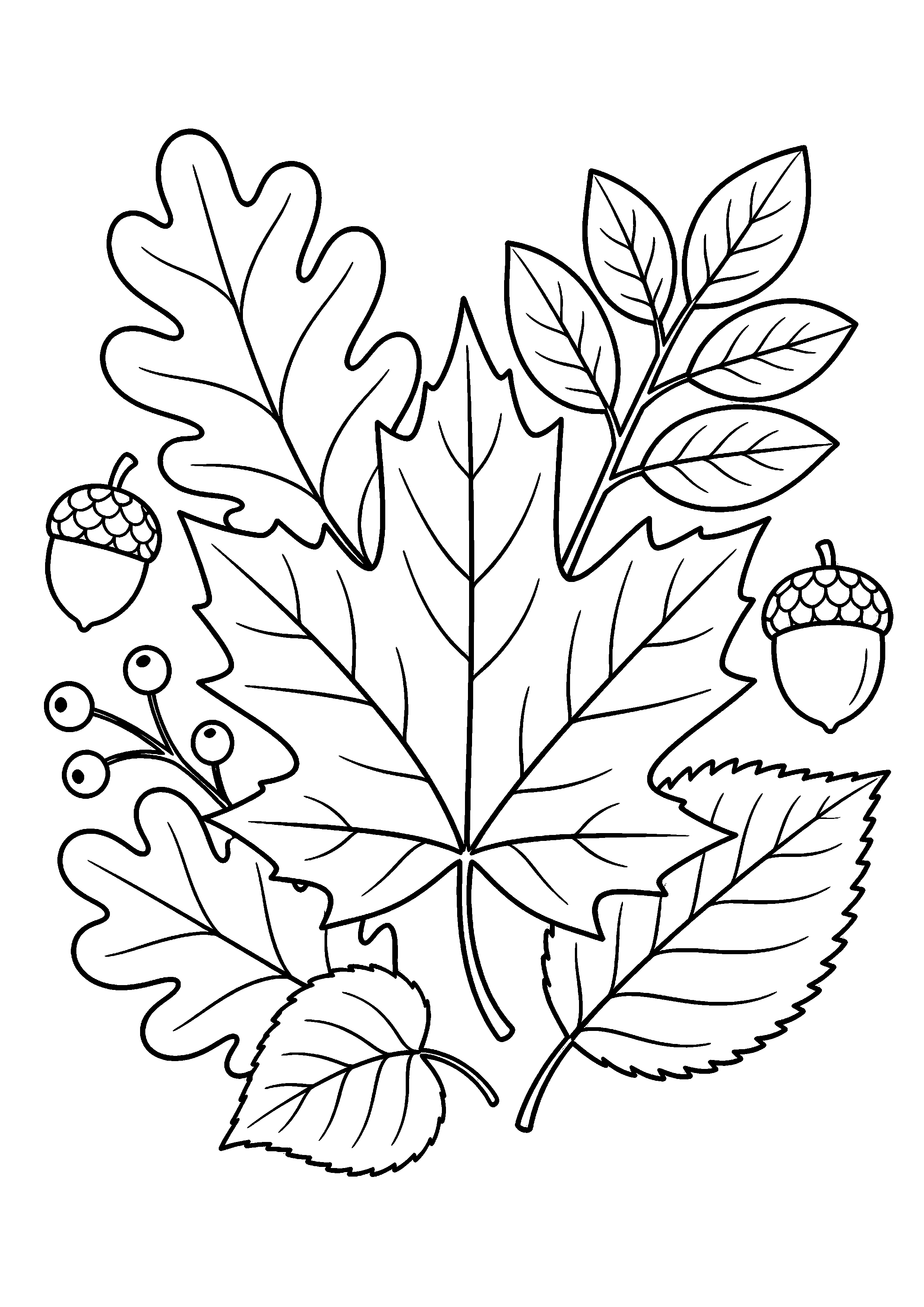 Coloriage Feuille d'automne à imprimer – dessin n°15