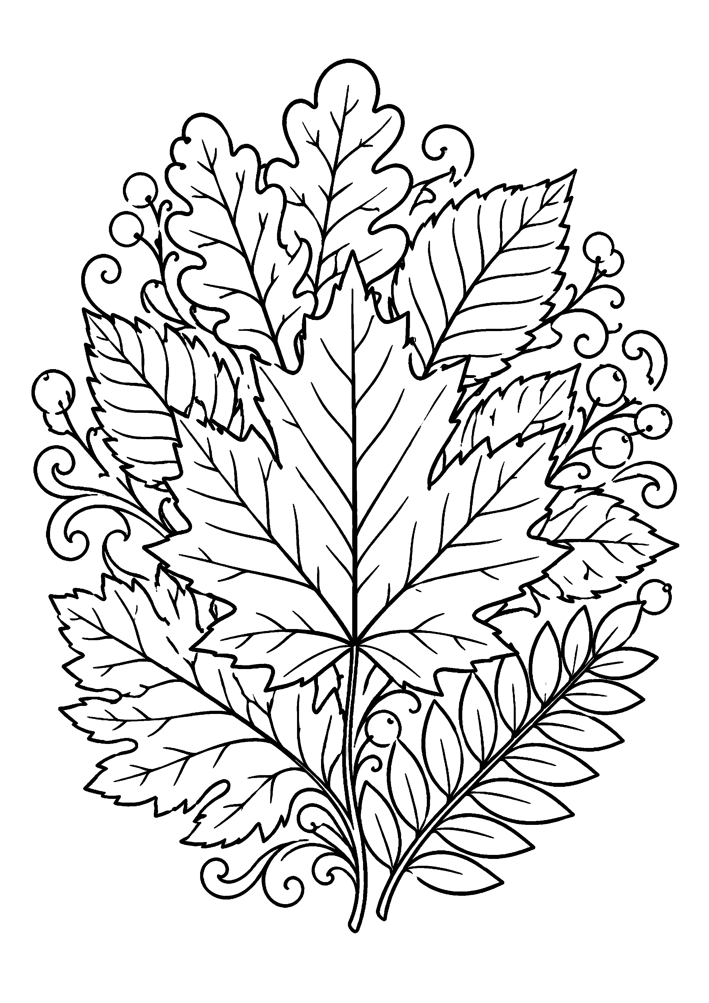 Coloriage Feuille d'automne à imprimer – dessin n°19
