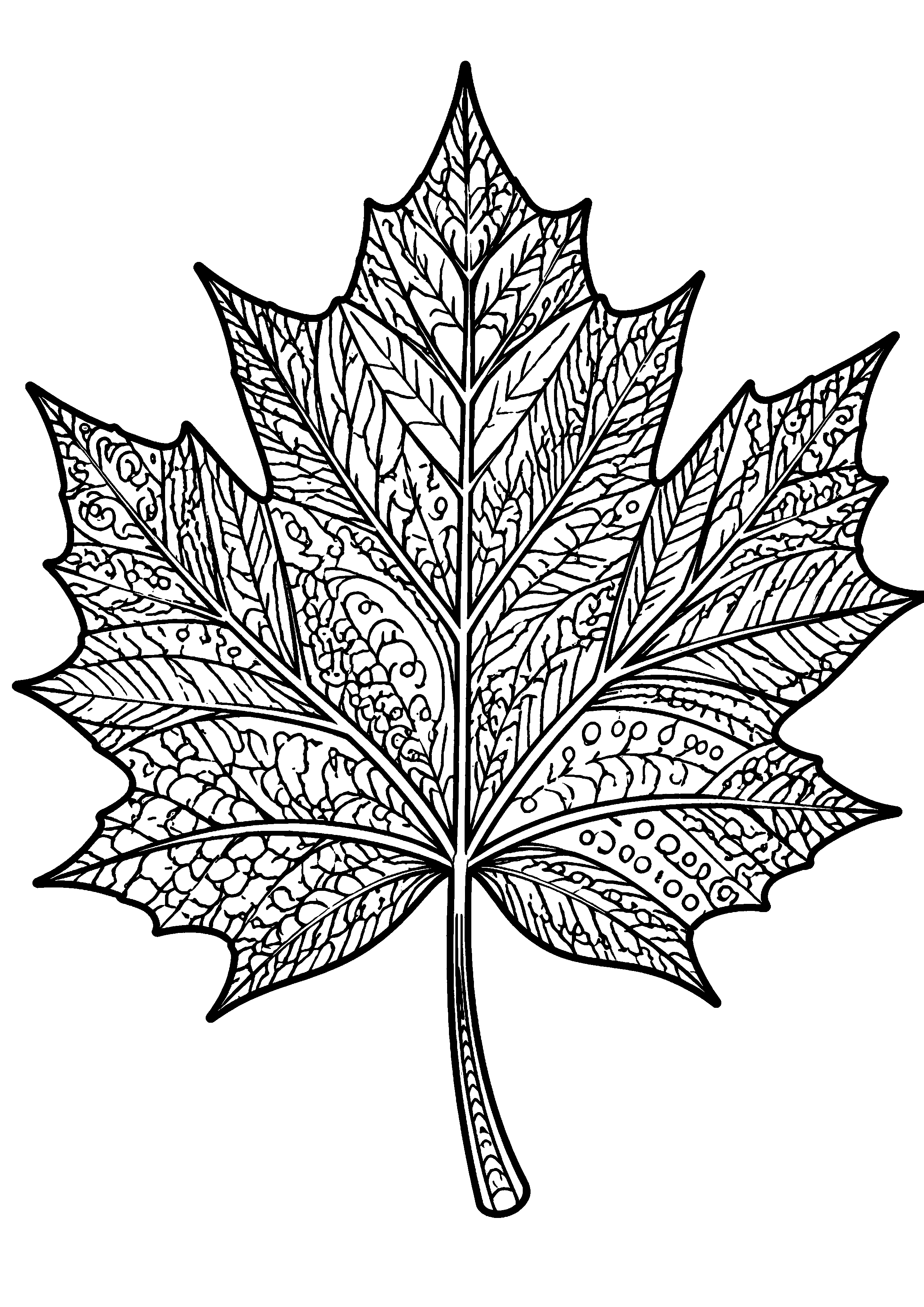 Coloriage Feuille d'automne à imprimer – dessin n°20