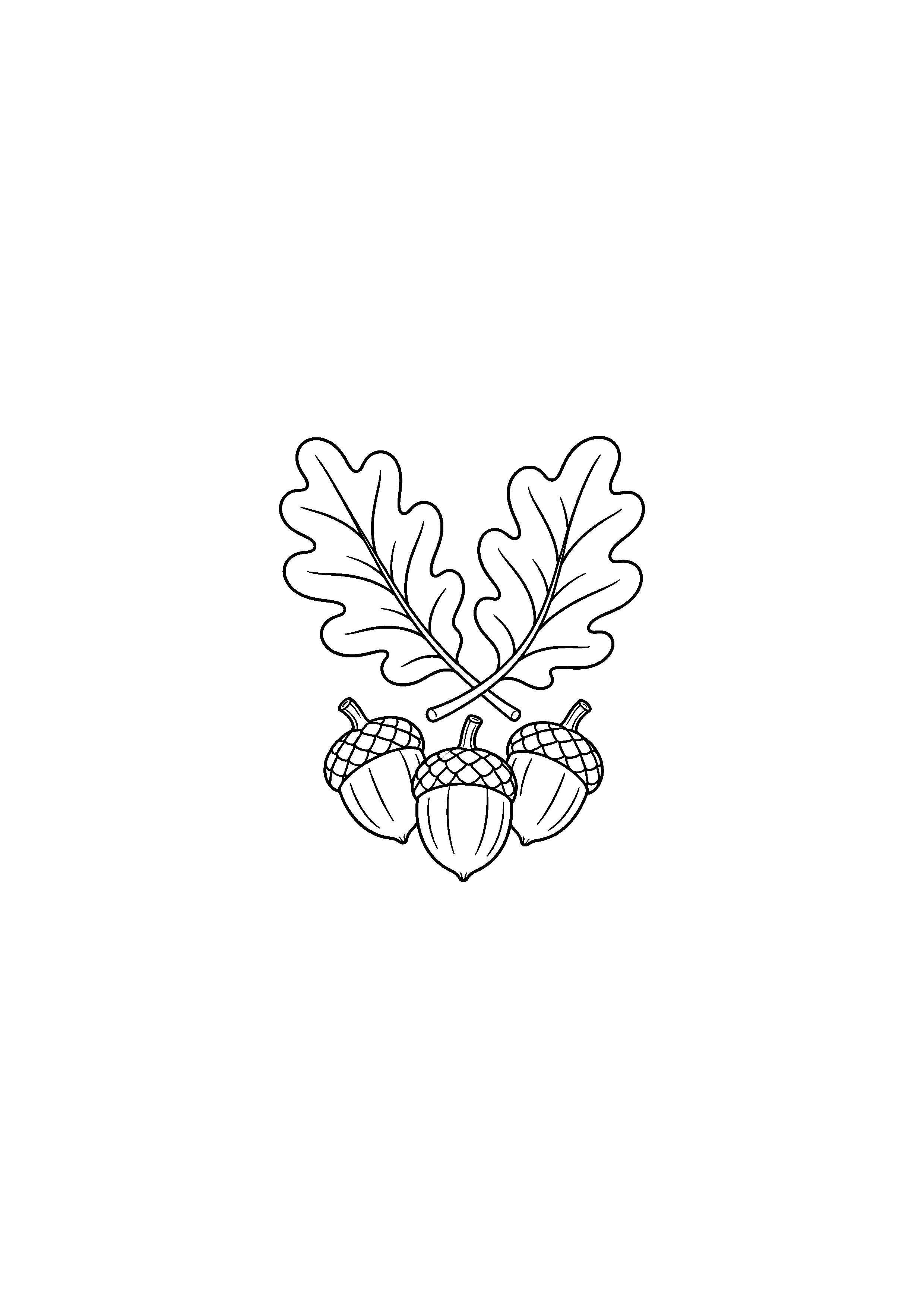 Coloriage noir et blanc représentant deux feuilles de chêne et trois glands