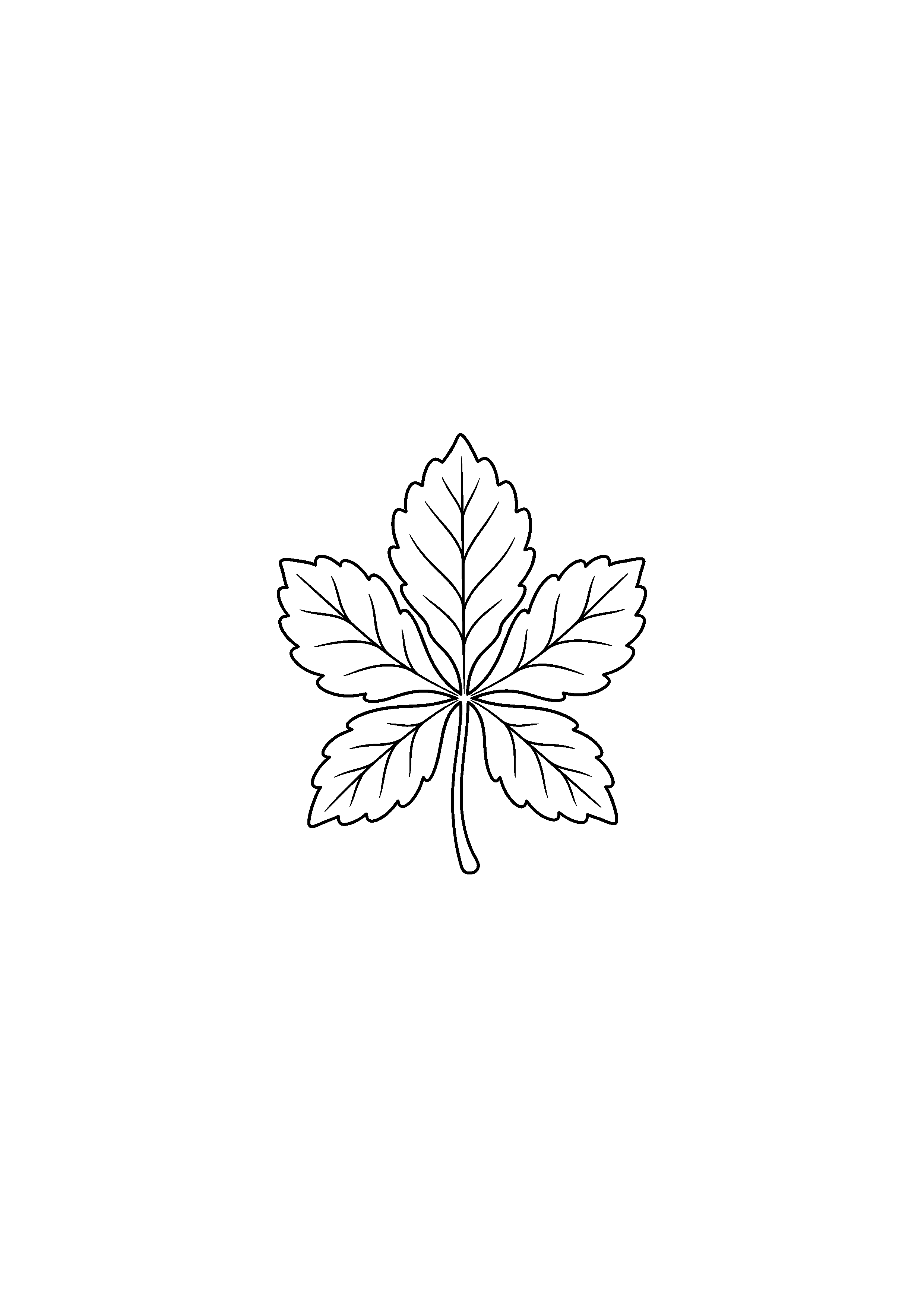 Coloriage noir et blanc représentant feuille de marronnier à cinq folioles