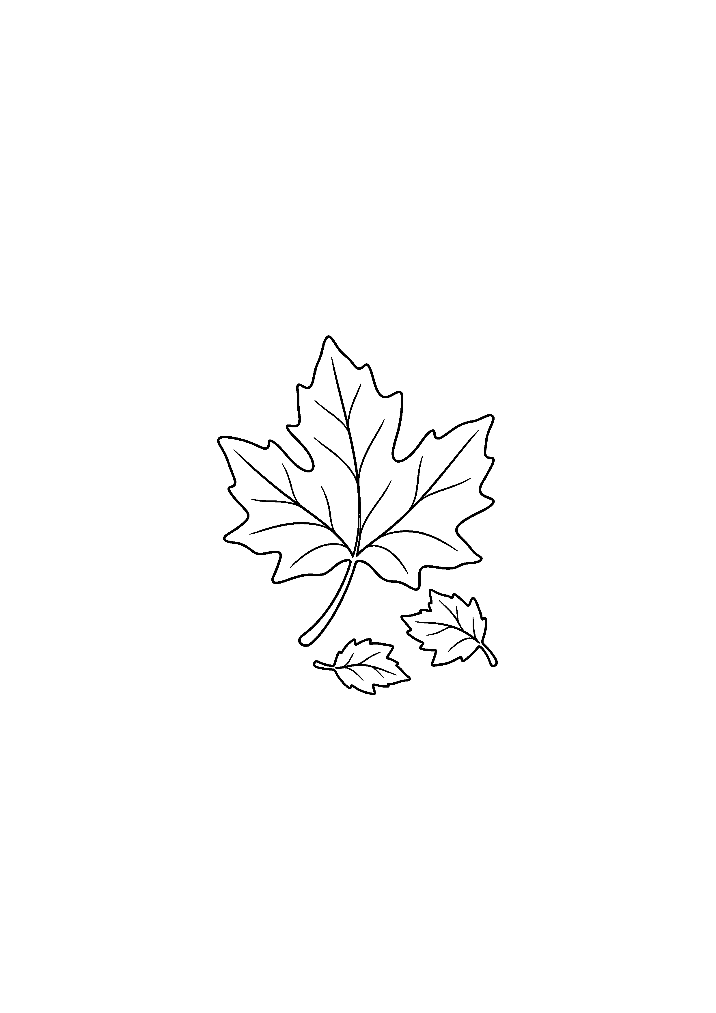 Coloriage noir et blanc représentant feuille de platane et petites feuilles
