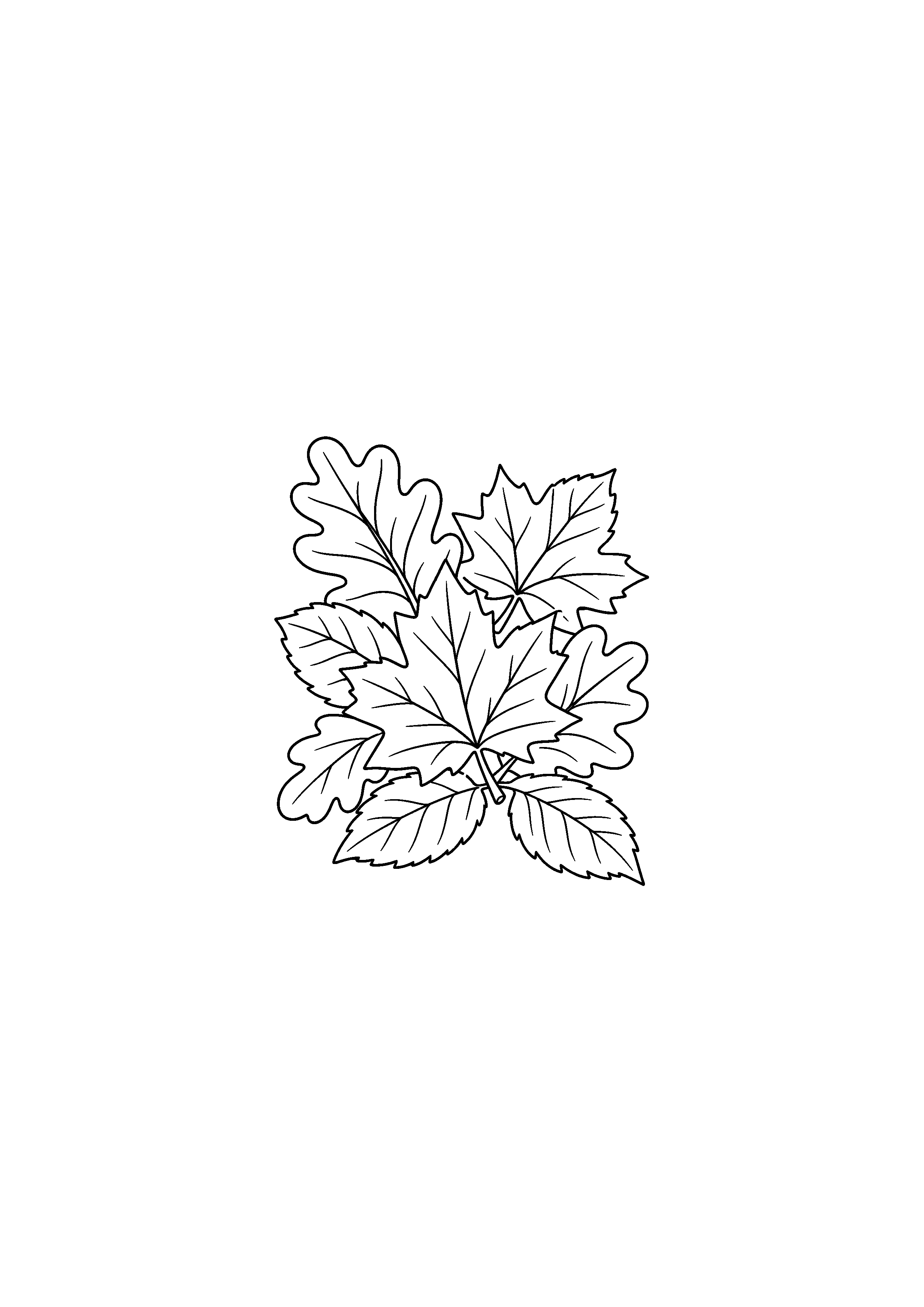 Coloriage noir et blanc représentant tapis de feuilles d'automne