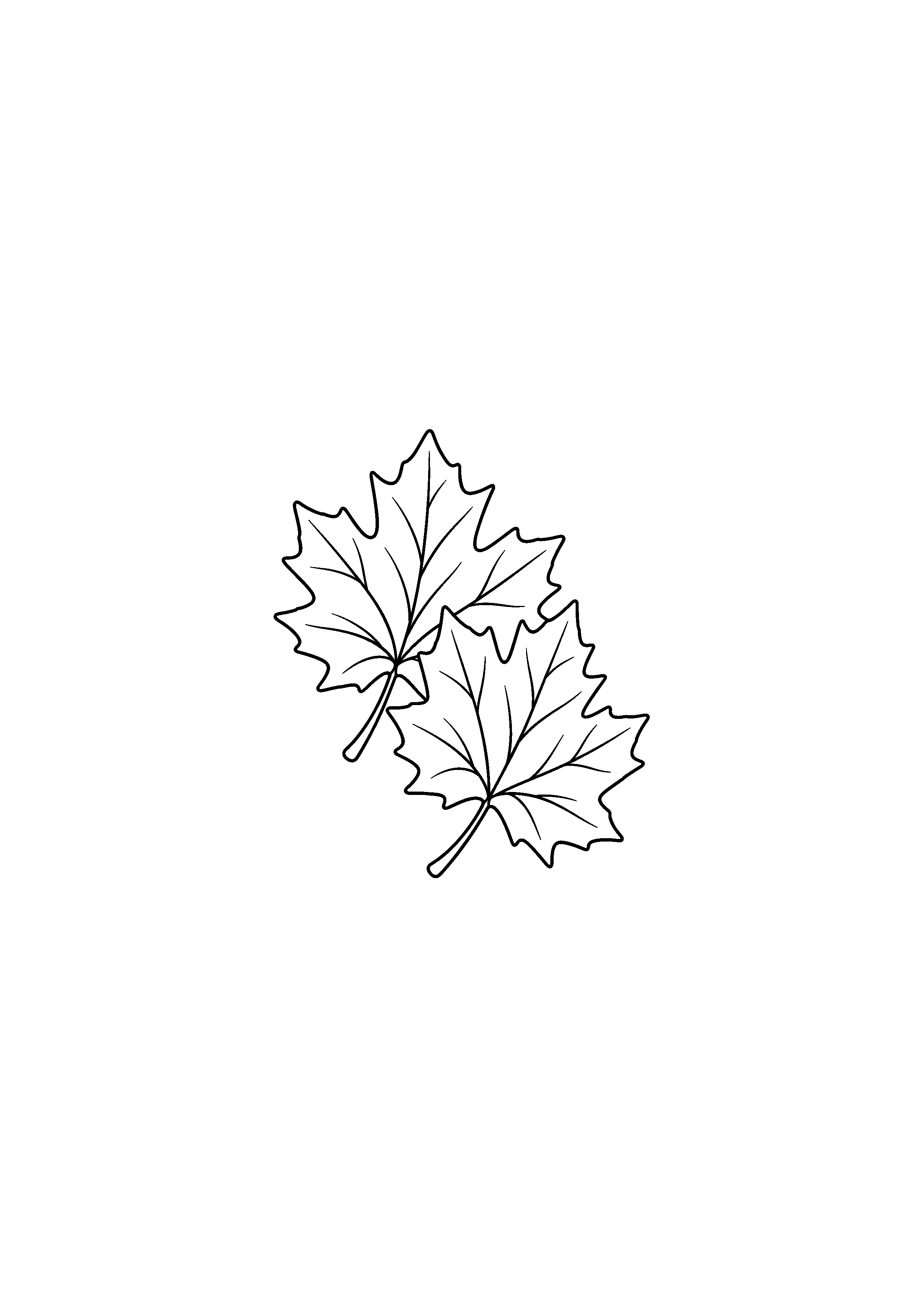 Coloriage noir et blanc représentant deux feuilles d'érable superposées