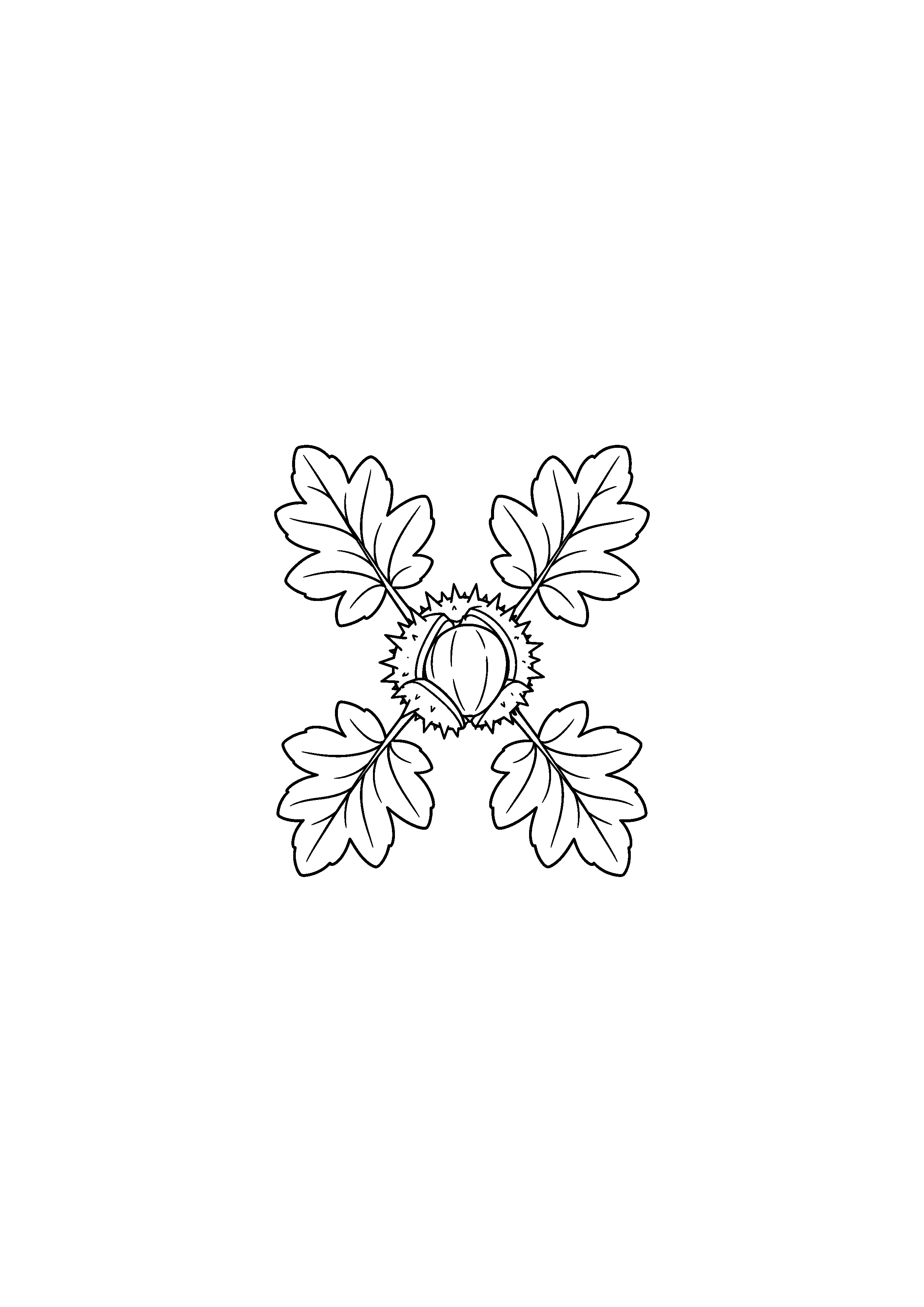 Coloriage noir et blanc représentant étoile de feuilles de marronnier