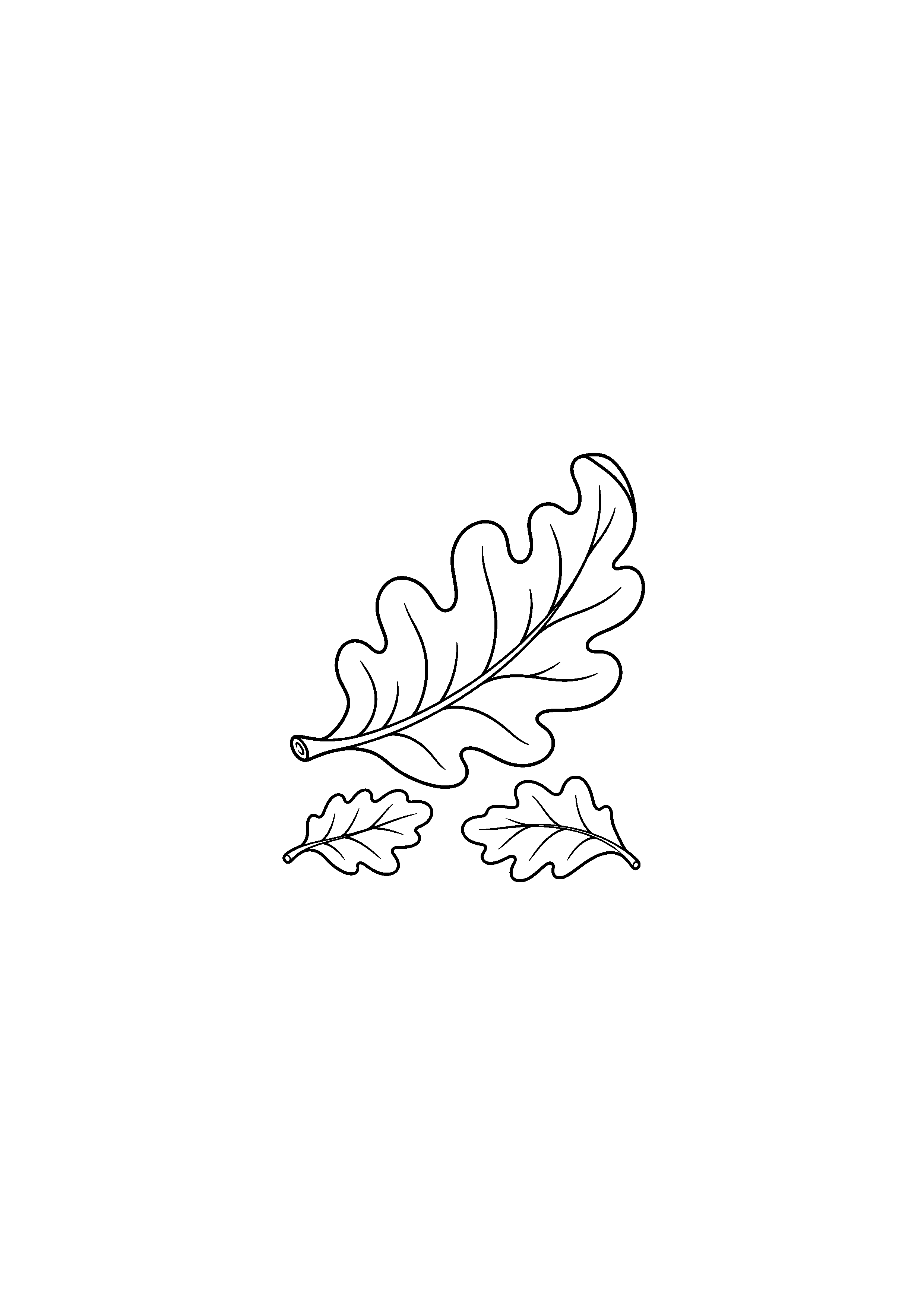 Coloriage noir et blanc représentant feuille de chêne recourbée