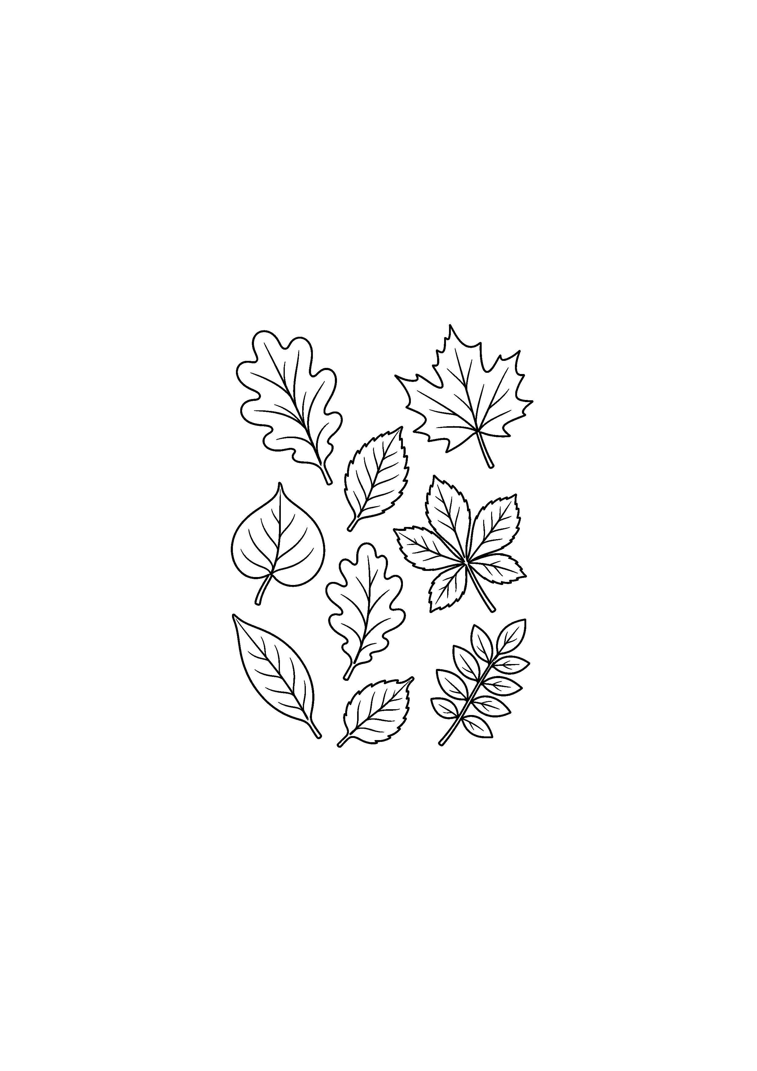 Coloriage noir et blanc représentant feuilles dispersées