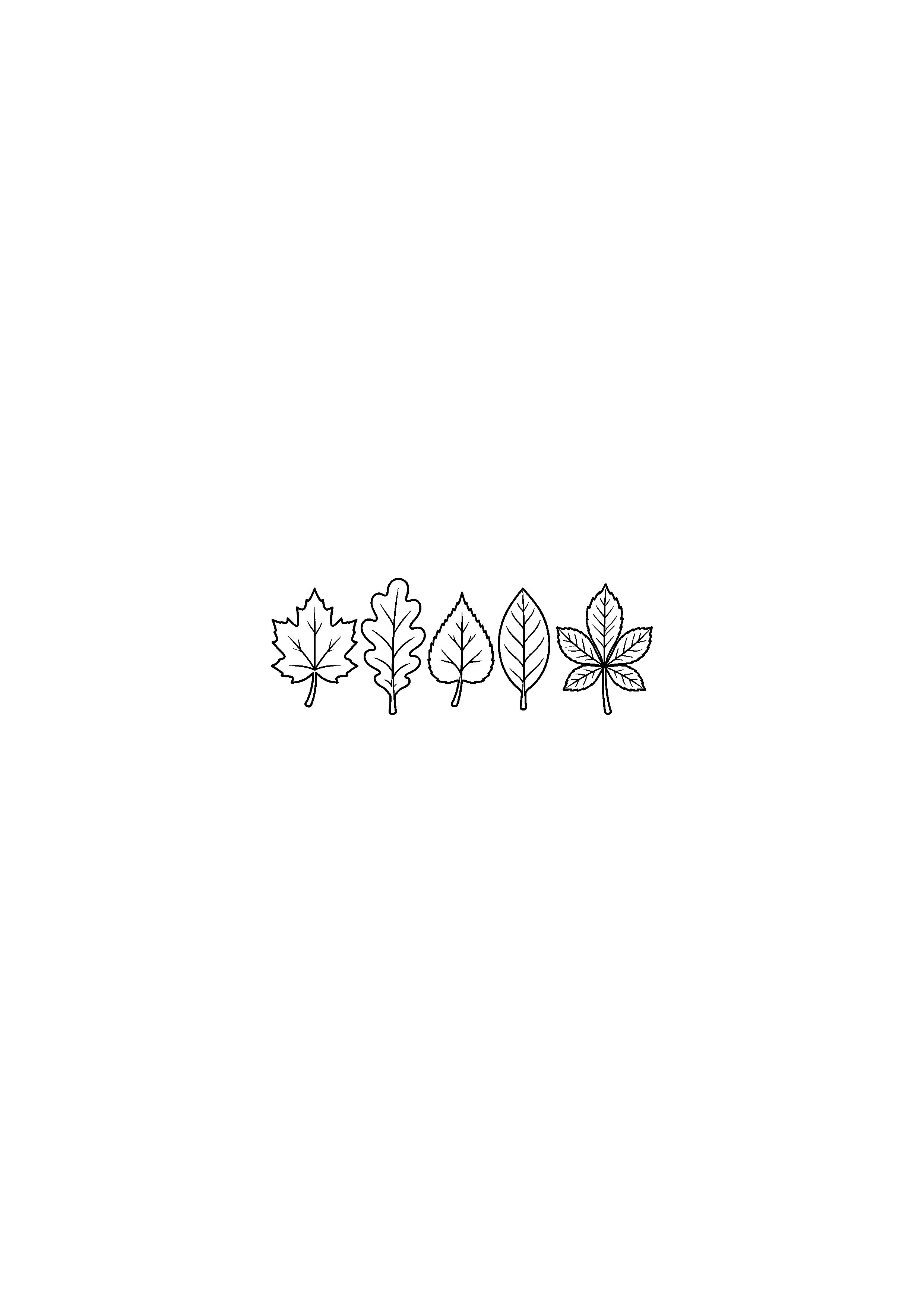 Coloriage noir et blanc représentant rangée de cinq feuilles