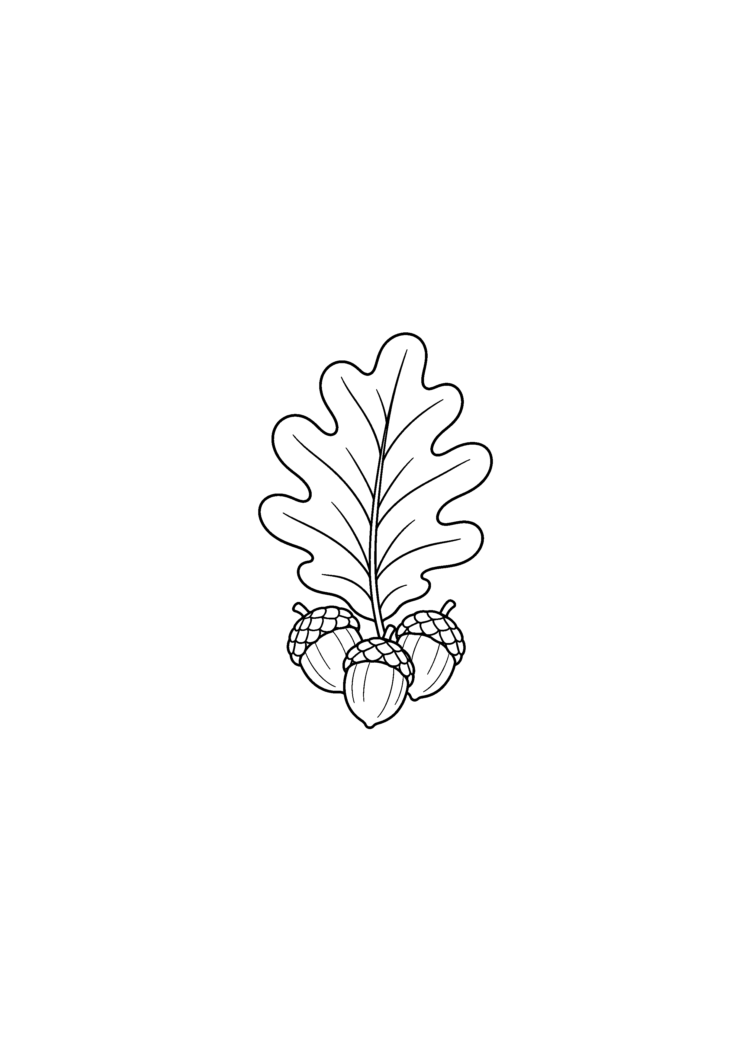 Coloriage noir et blanc représentant feuille de chêne détaillée