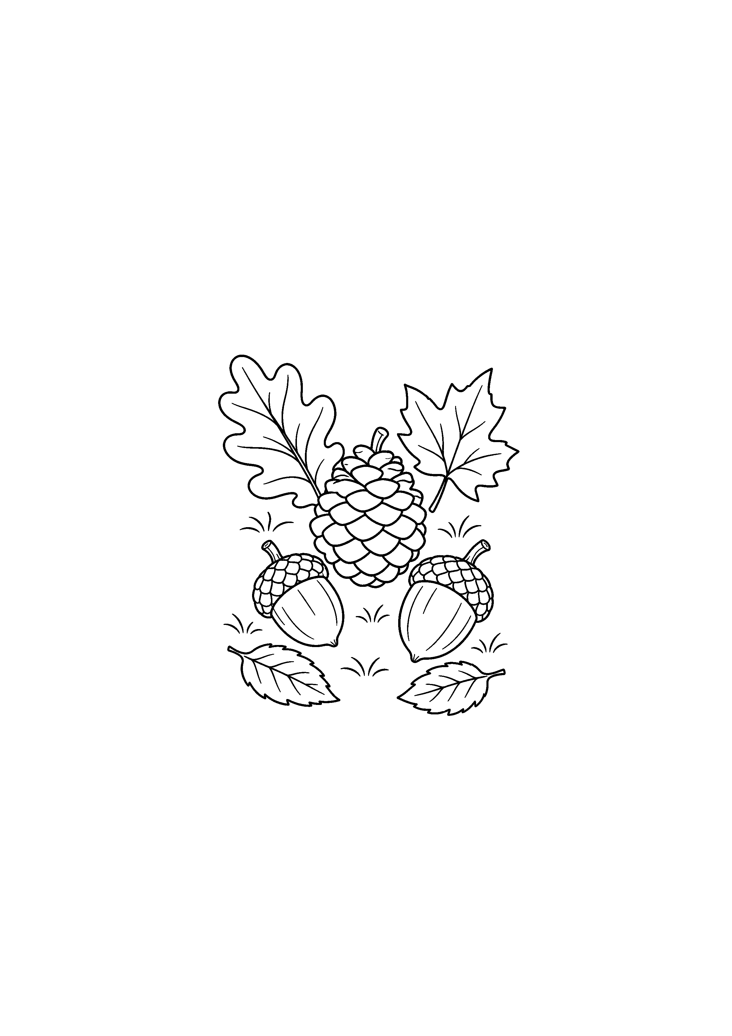 Coloriage noir et blanc représentant sol forestier feuilles et pomme de pin